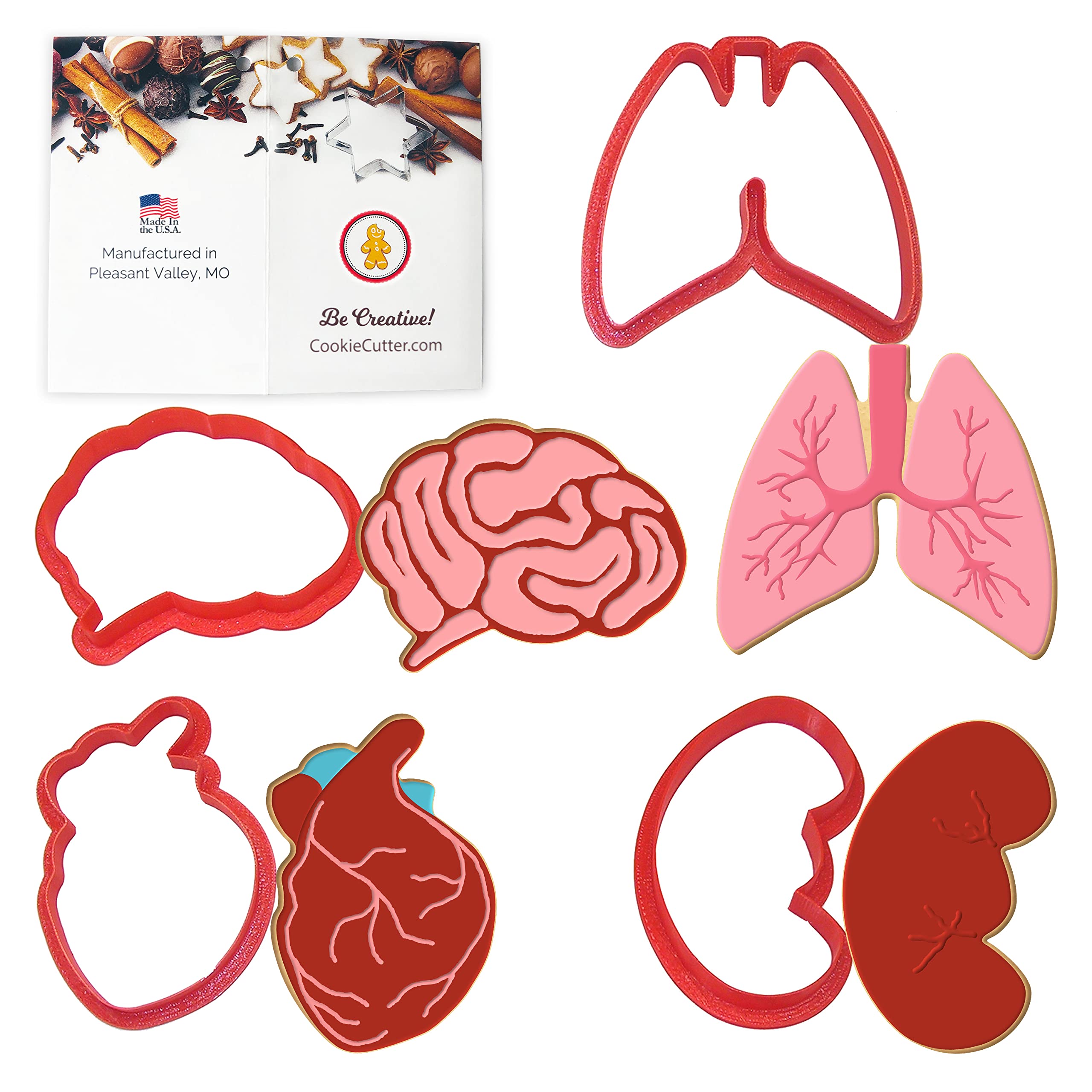 Anatomical Body Parts Cookie Cutter 4 Pc Set - Kidney, Heart, Lungs, Brain Plastic Cookie Cutters, Made In Usa