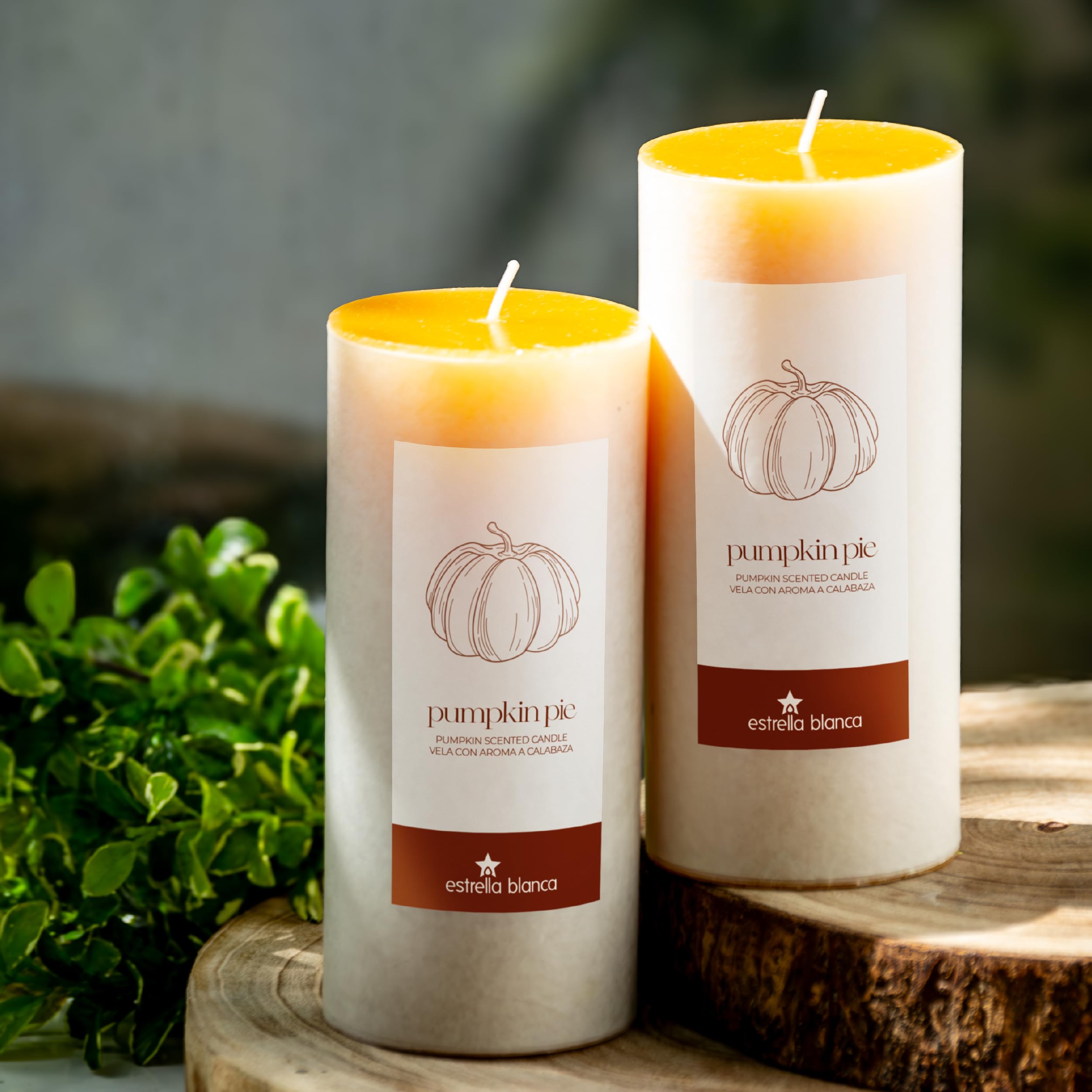 Estrella Blanca Pumpkin Pie Scented Orange Pillar Candles, 3x6 Inch Set of 3, Long Lasting Fall Candles for Home Decor, Thanksgi