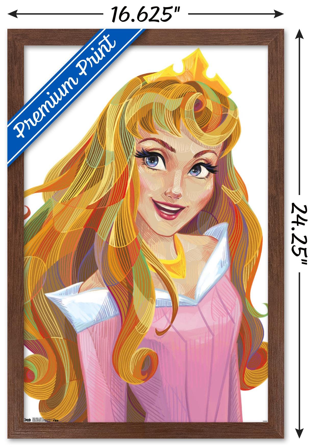Trends International Disney Sleeping Beauty Wall Poster, 14.725" x 22.375", Mahogany Framed Version, Model FR16903MAH14X22