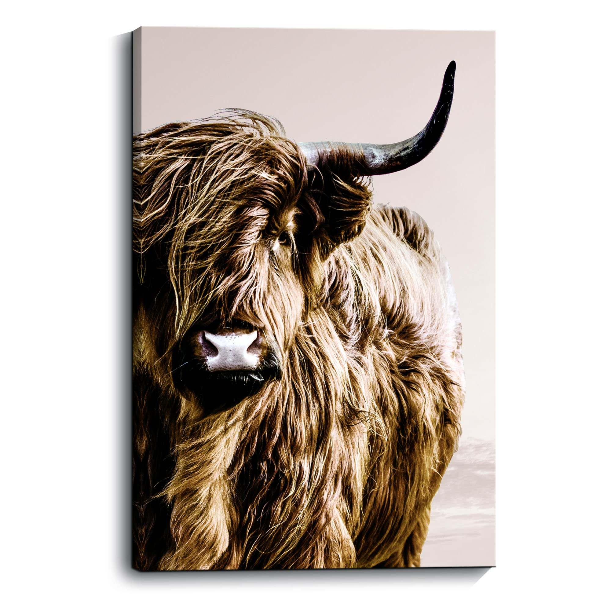 Znz Highland Cow Wall Art Country Farmhouse Wall Decor Strong Confident Yak Canvas Prints With Long Horns Animal Wall Art Fluffy