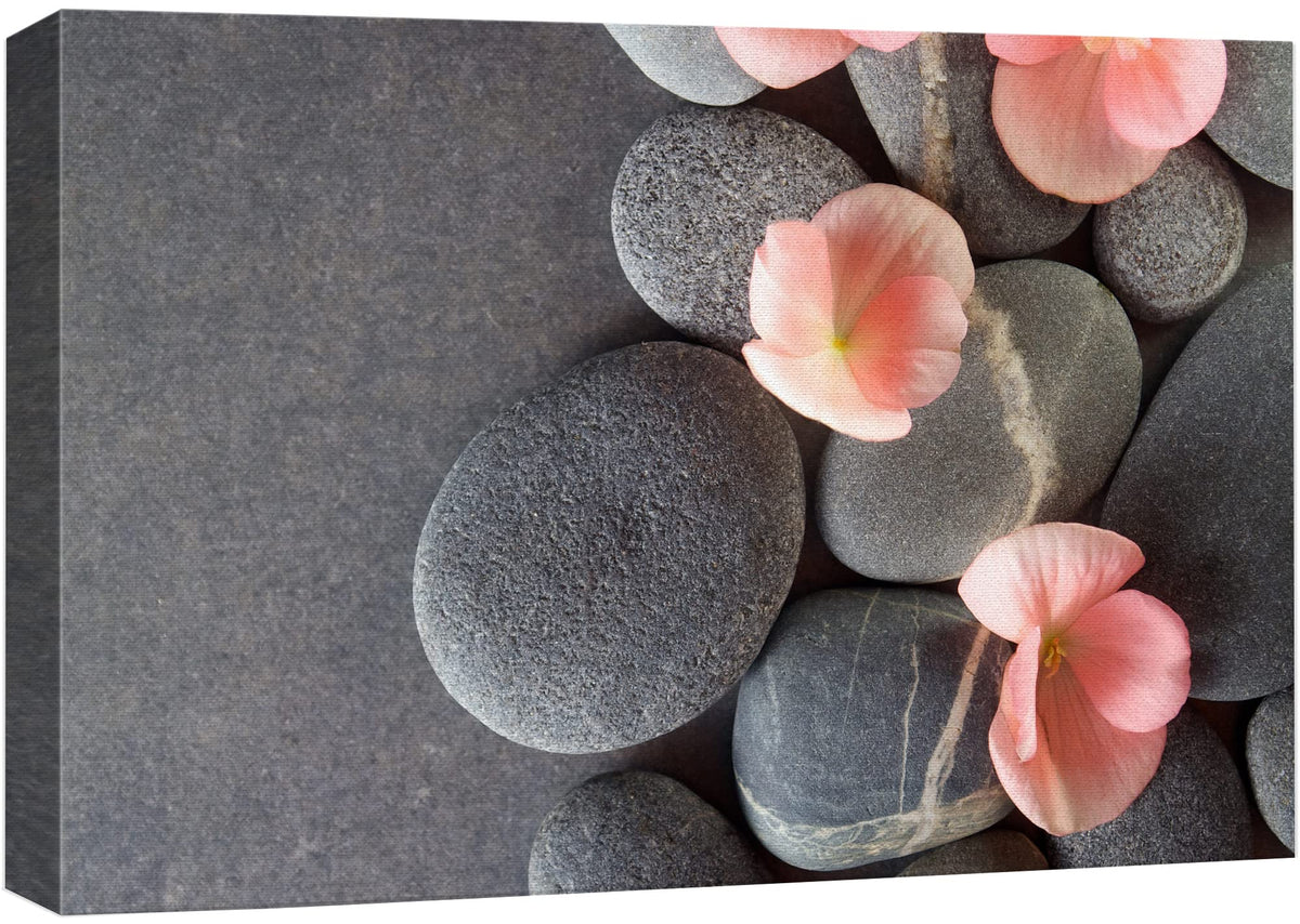 Wall26 Canvas Print Wall Art Gray Stones With Pink Daisy Flowers Floral Nature Photography Realism Bohemian Scenic Relax/Calm Co