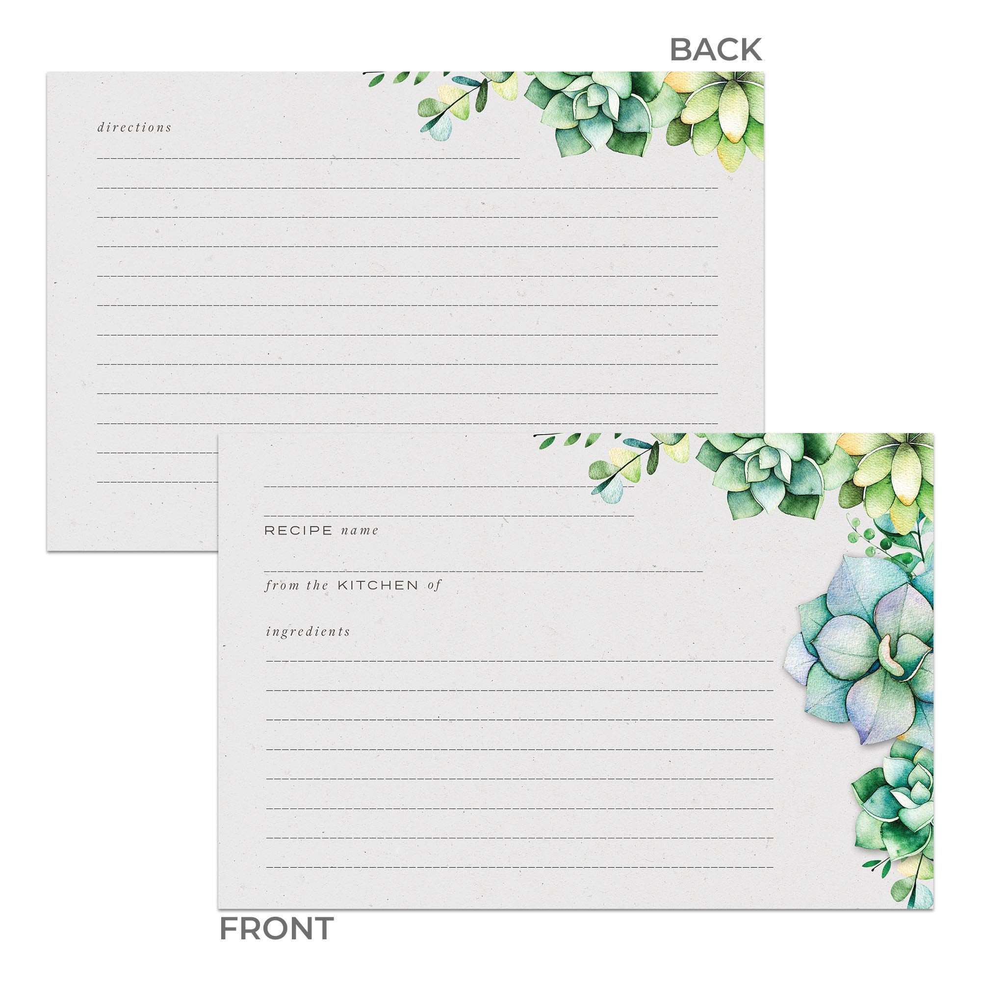 48 Succulents Recipe Cards, 4X6 In, Water Resistant