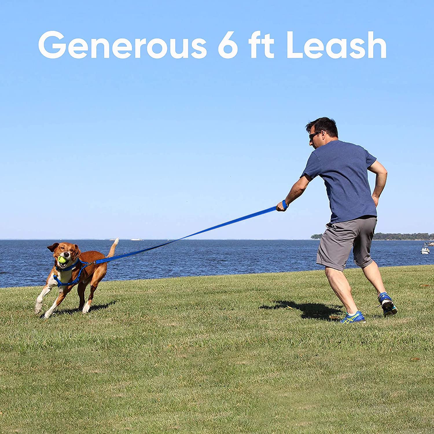 Pawtitas 6 Ft Recycled Dog Leash With Reflective Stitched Thread Stitched On Side Small Reflective Dog Leash Made From Plastic B