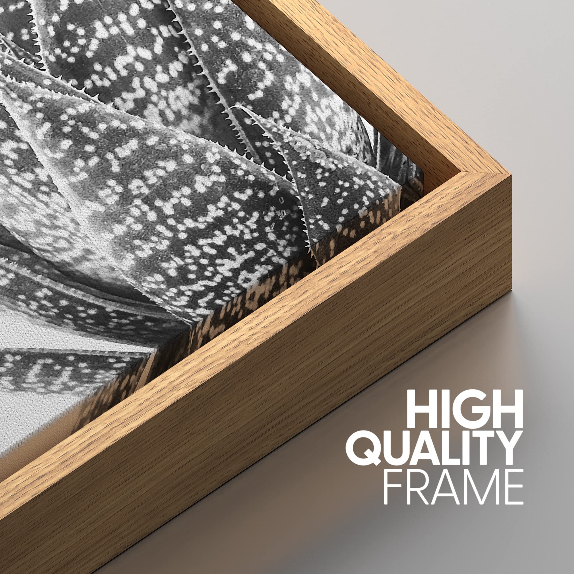 Signwin Framed Wall Art Print Set Sempervivum & Haworthia Succulent Set Nature Plants Photography Modern Art Closeup Relax/Calm