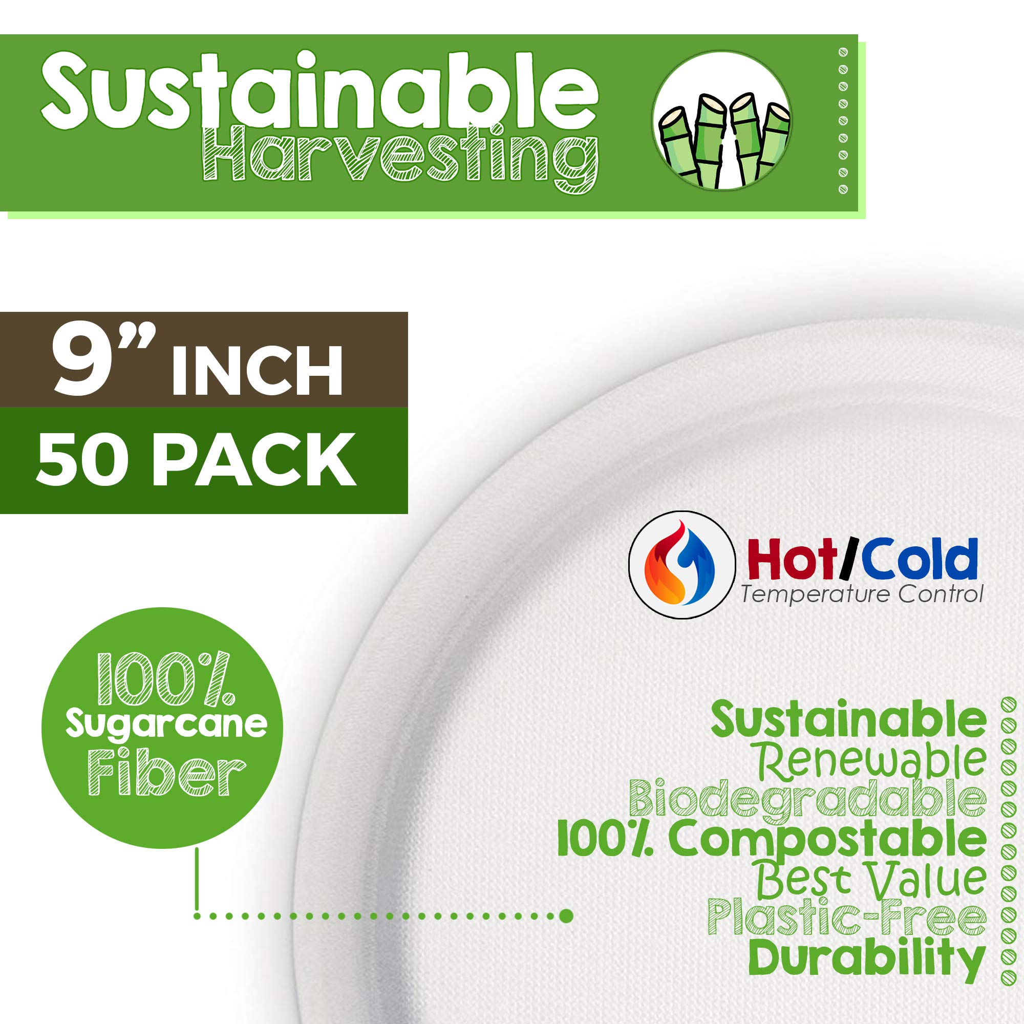 Green Earth, 100% Compostable Paper Plates Natural Bagasse, Sugarcane Fiber, Breakfast Lunch Dinner Biodegradable Recycled Dispo