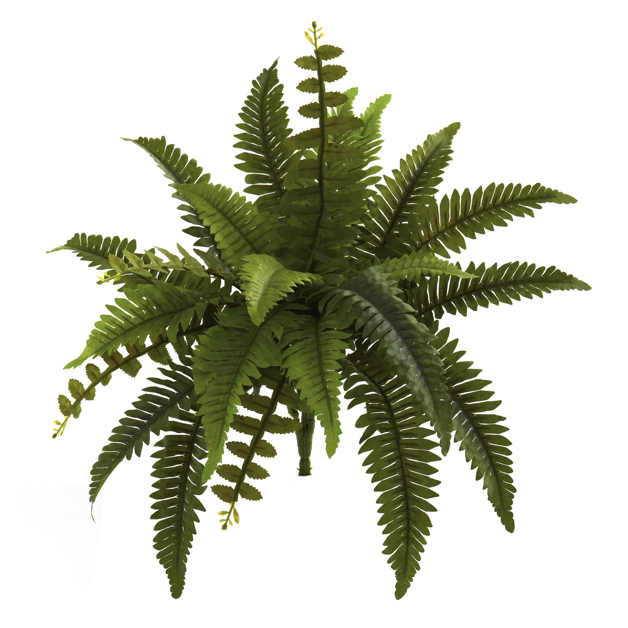 Nearly Natural 14 Boston Fern (Set of 6) Artificial Plant, Green