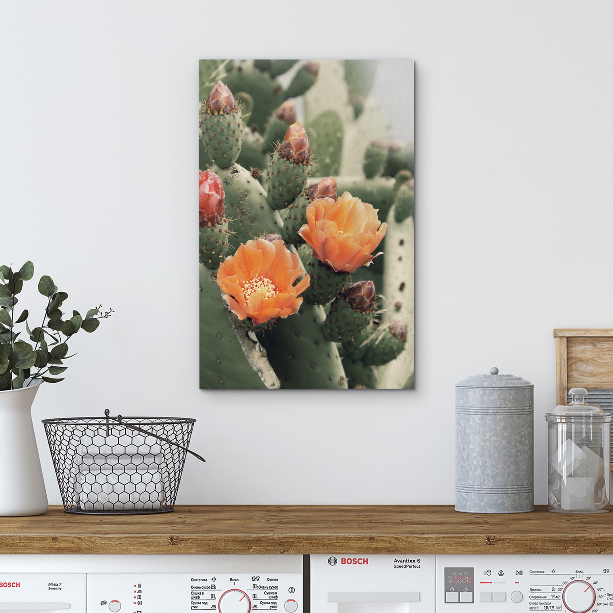 Wall26 Canvas Print Wall Art Blooming Cactus Flower Nature Wilderness Photography Realism Floral Botanical Southwest Rustic Coun