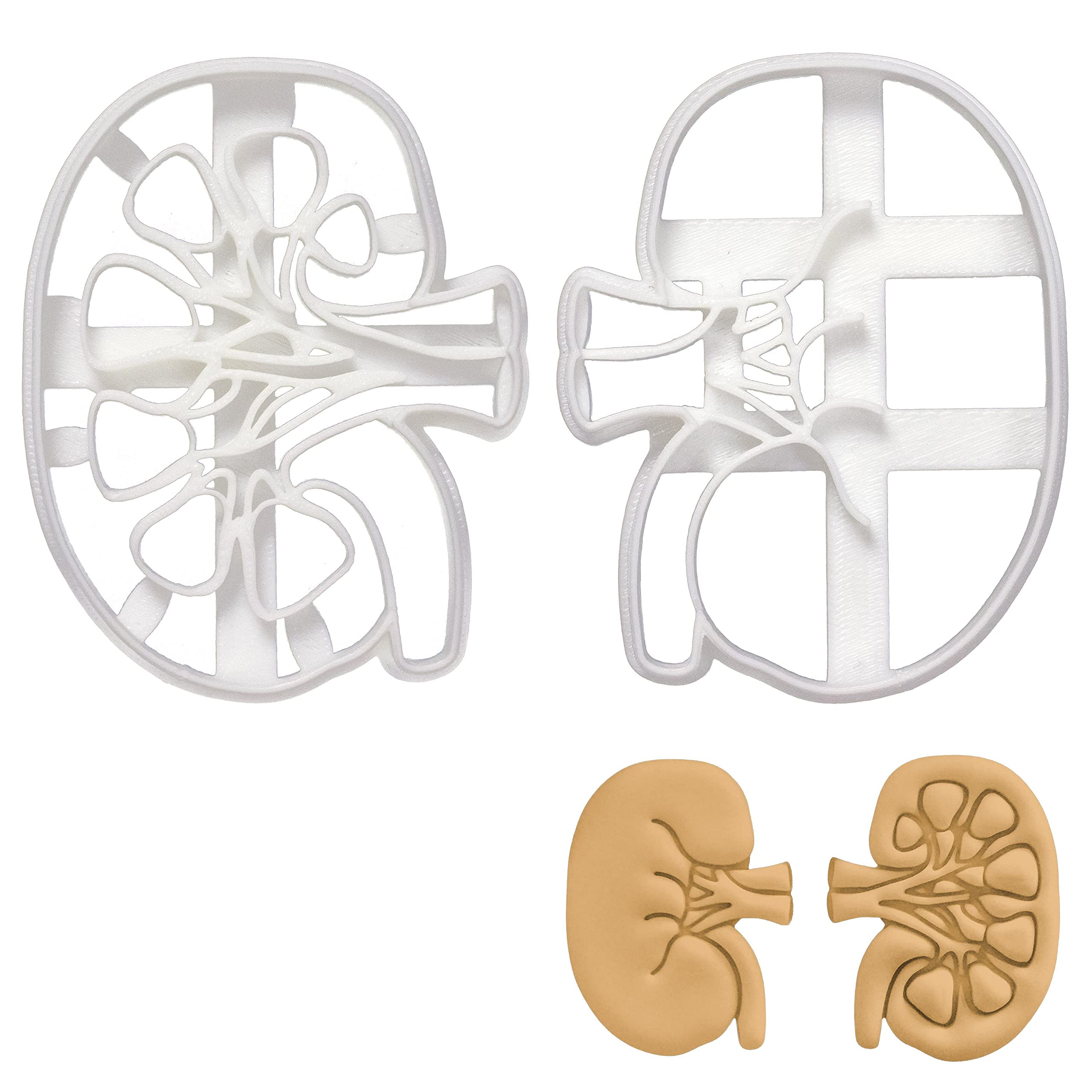 Set Of 2 Kidney Cookie Cutters (Designs: External And Internal Kidney), 2 Pieces - Bakerlogy