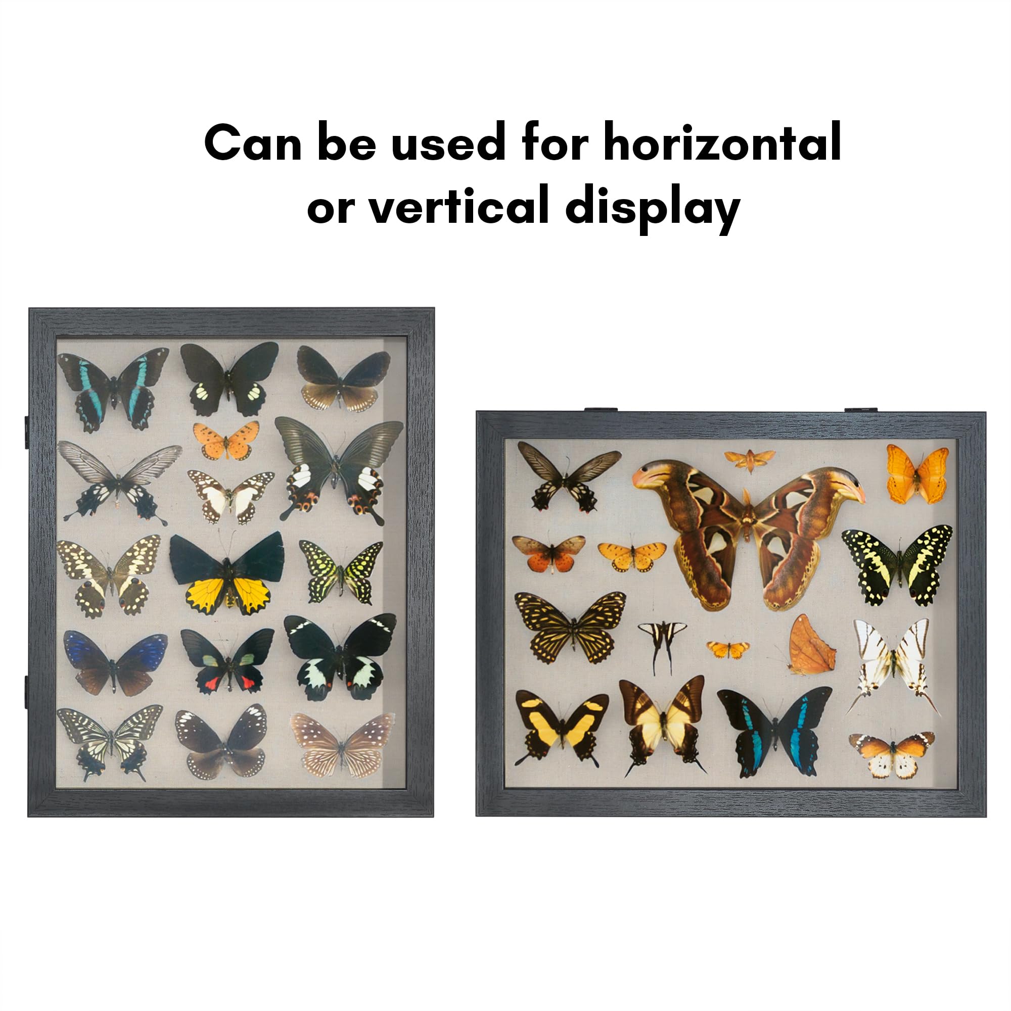 Americanflat Front Opening 11x14 Shadow Box Frame with Shatter-Resistant Glass - Silhouette Collection - Shadow Box Display Case