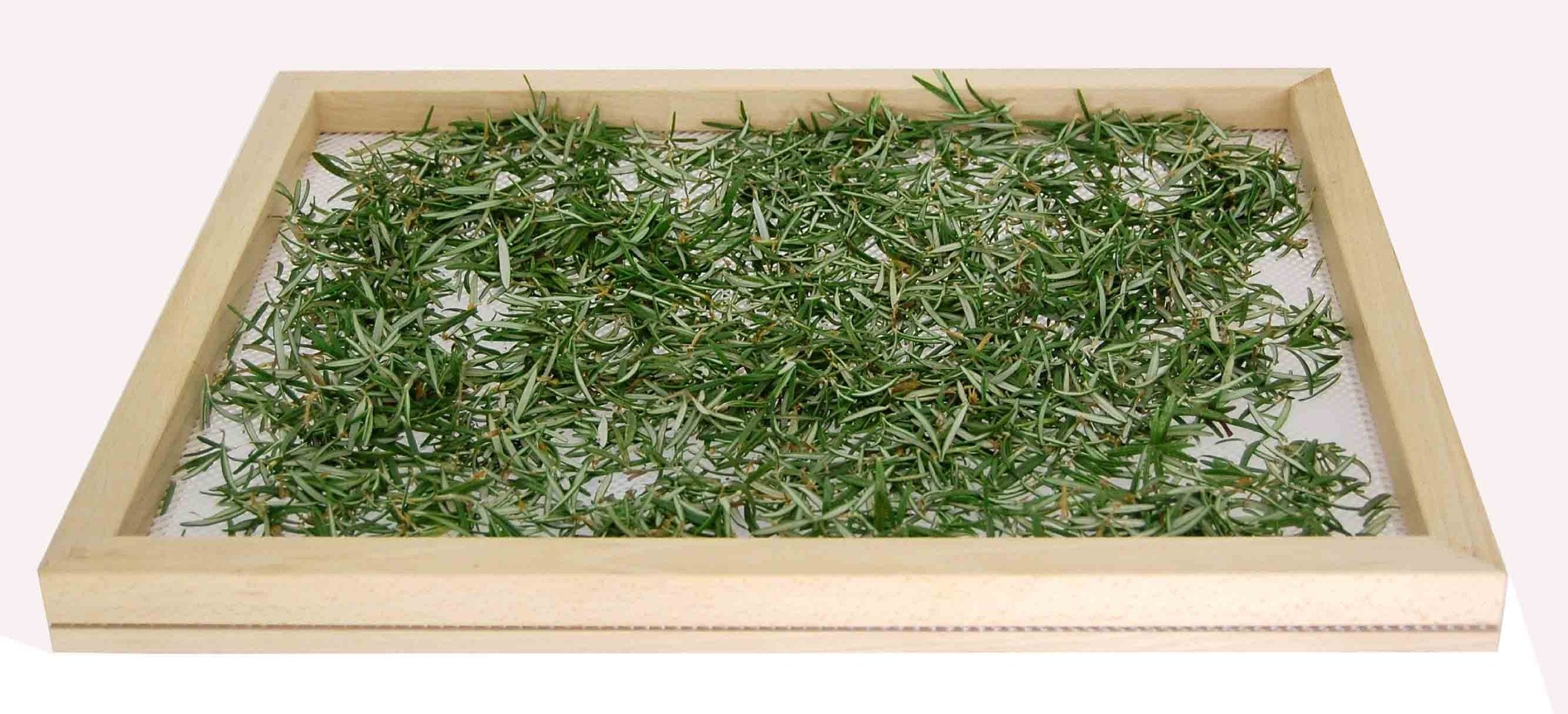 Eppicotispai Beechwood Stackable Food Dryer With Net