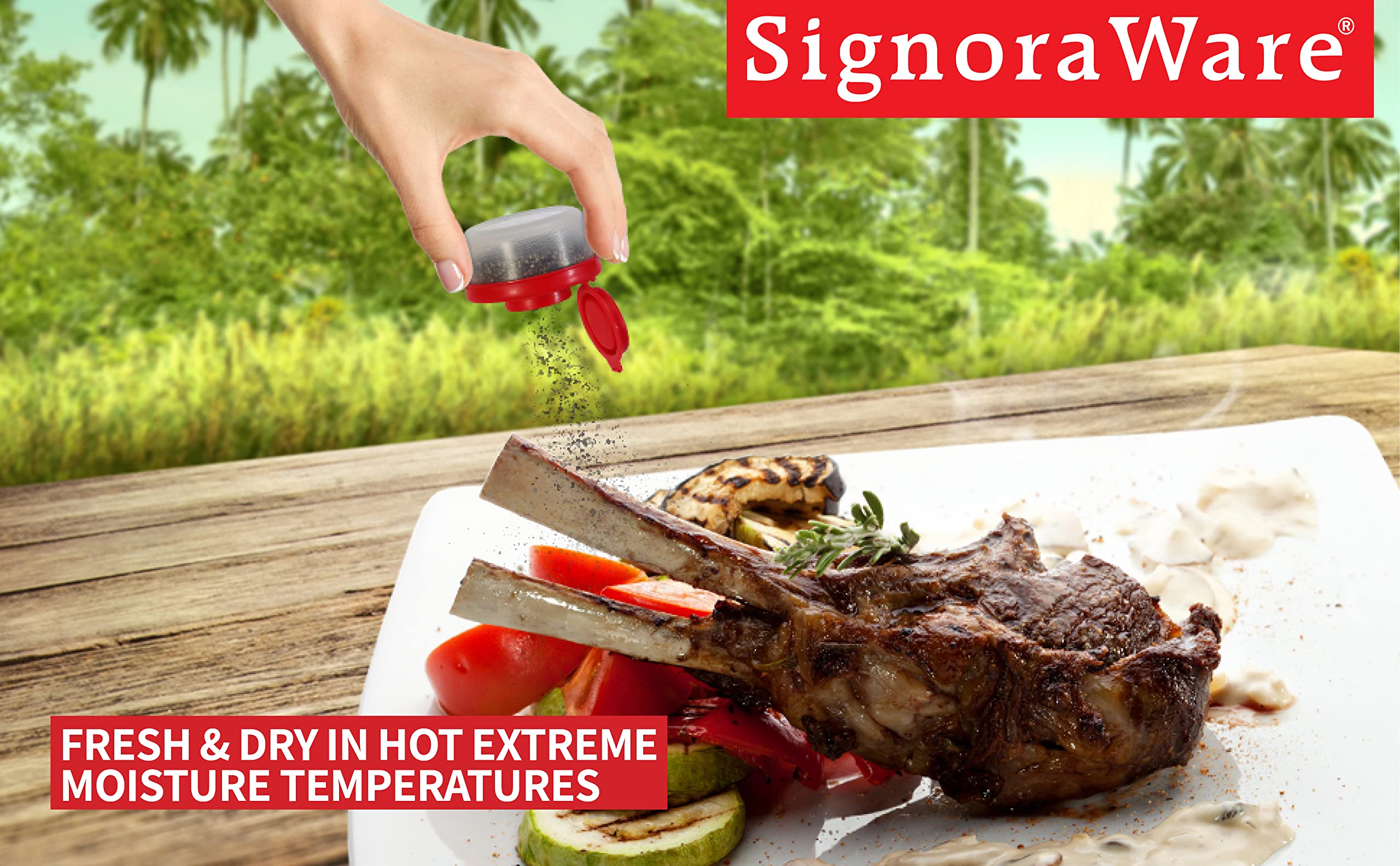 Signoraware Salt And Pepper Shakers Moisture Proof Set Of 4 Small Mini Salt Shaker To Go Camping Picnic Outdoors Kitchen Lunch B