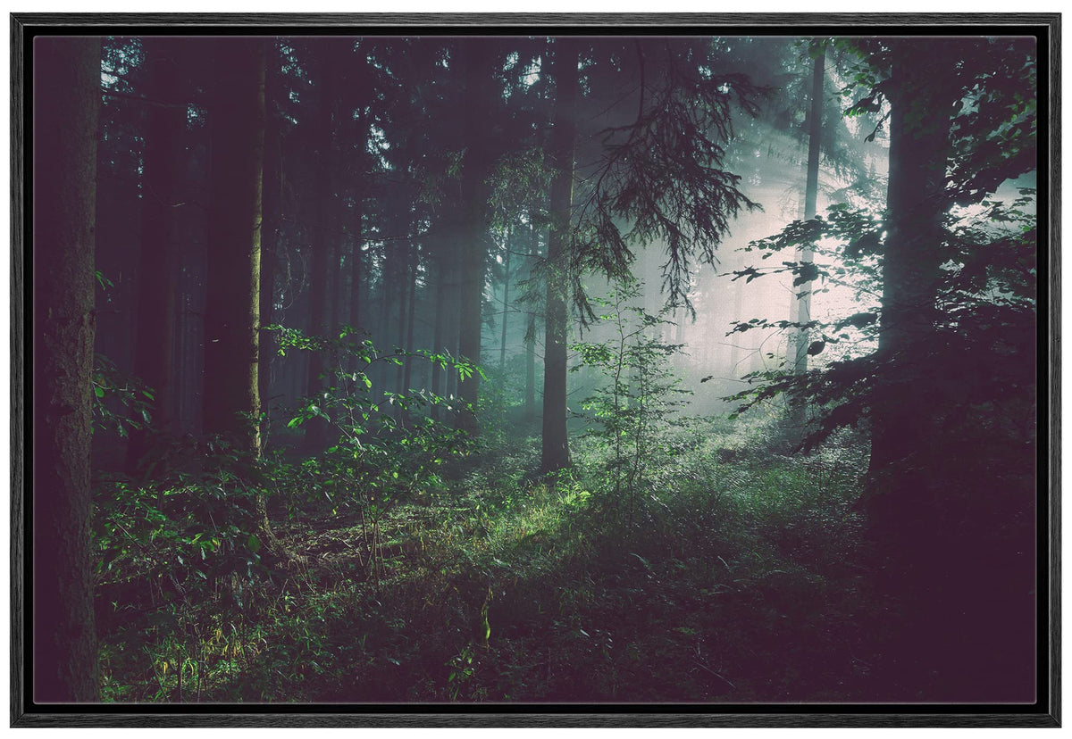 Wall26 Framed Canvas Print Wall Art Sunlight Passing Through Green Forest Nature Wilderness Photography Modern Art Rustic Scenic