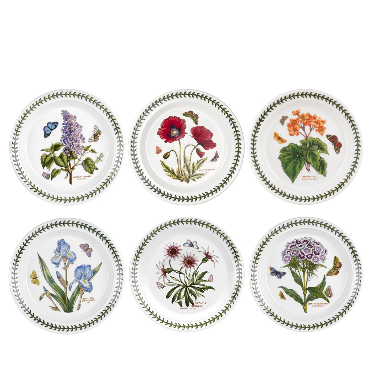 Portmeirion Botanic Garden 8.5'' Salad Plates - Set Of 6 | Assorted Floral Motifs | Fine Earthenware | Chip Resistant Glaze | Di