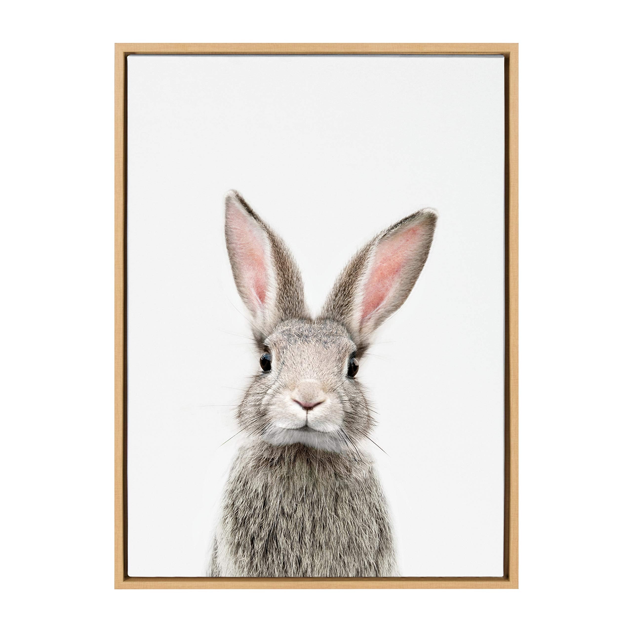 Kate And Laurel Sylvie Female Baby Bunny Rabbit Animal Print Portrait Framed Canvas Wall Art By Amy Peterson, 23X33 Natural