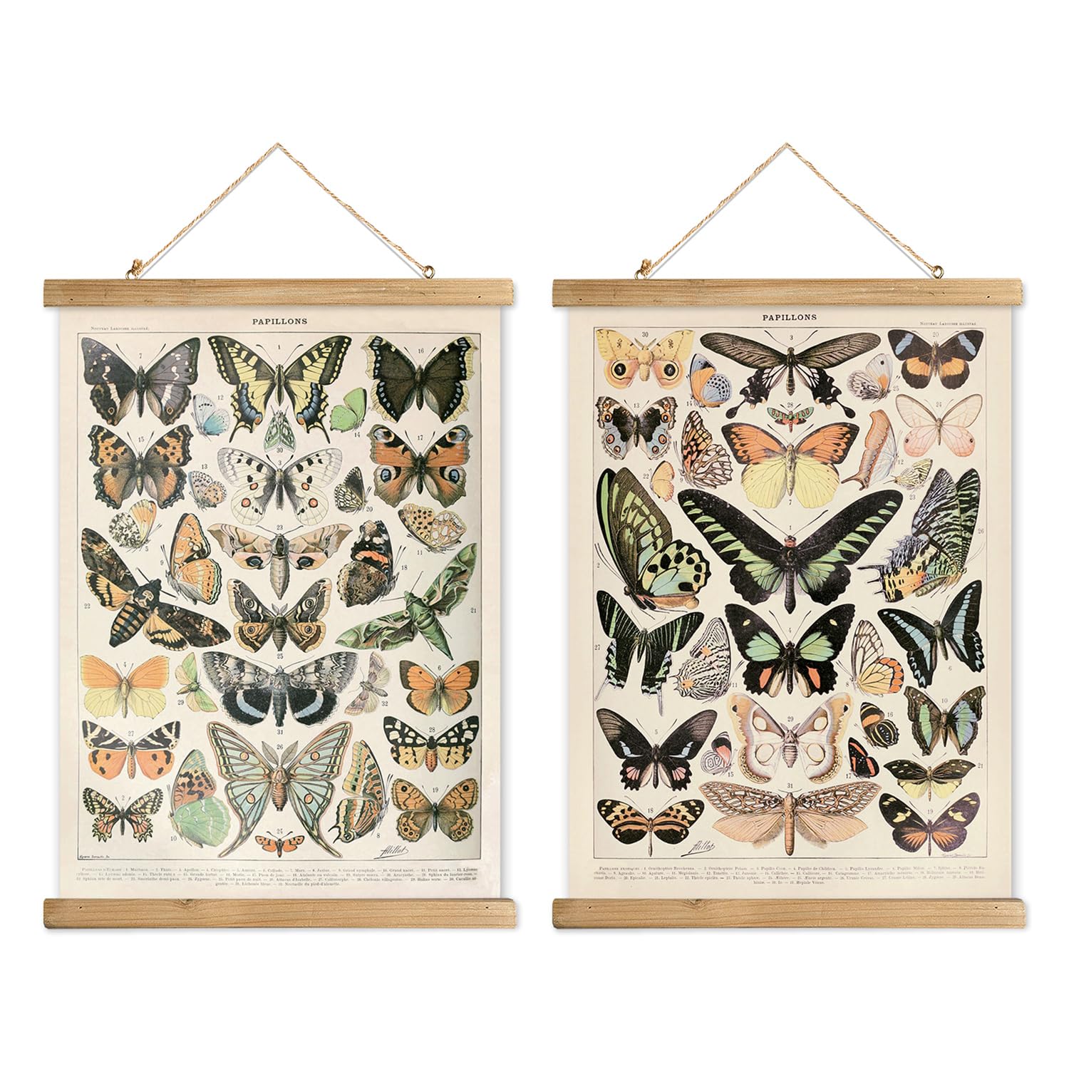 Xiaoaika 2 Pack Vintage Butterfly Poster - Cottagecore Room Decor Aesthetic - Classic Lepidoptera Wall Art With Wooden Frame - E