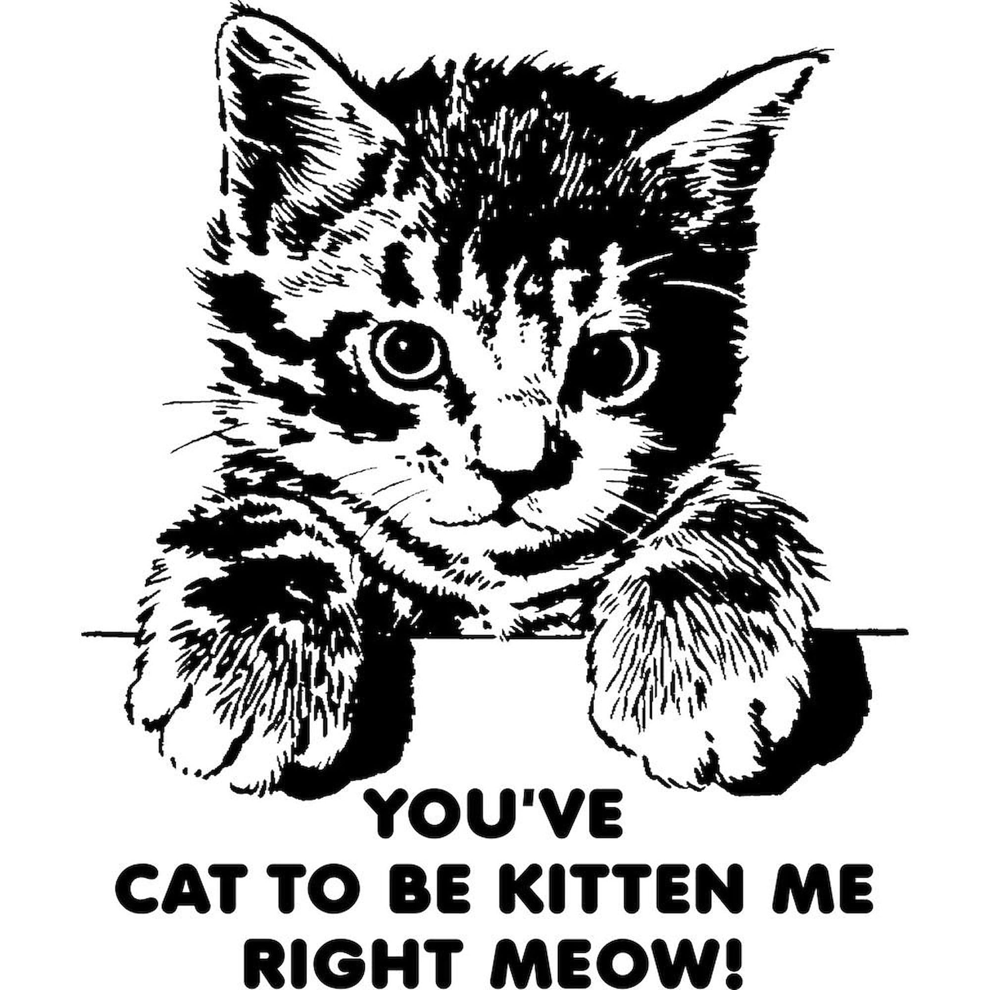 CafePress You've Cat To Be Kitten Me Right Meow Funny Mug 11 oz (325 ml) Ceramic Coffee Mug