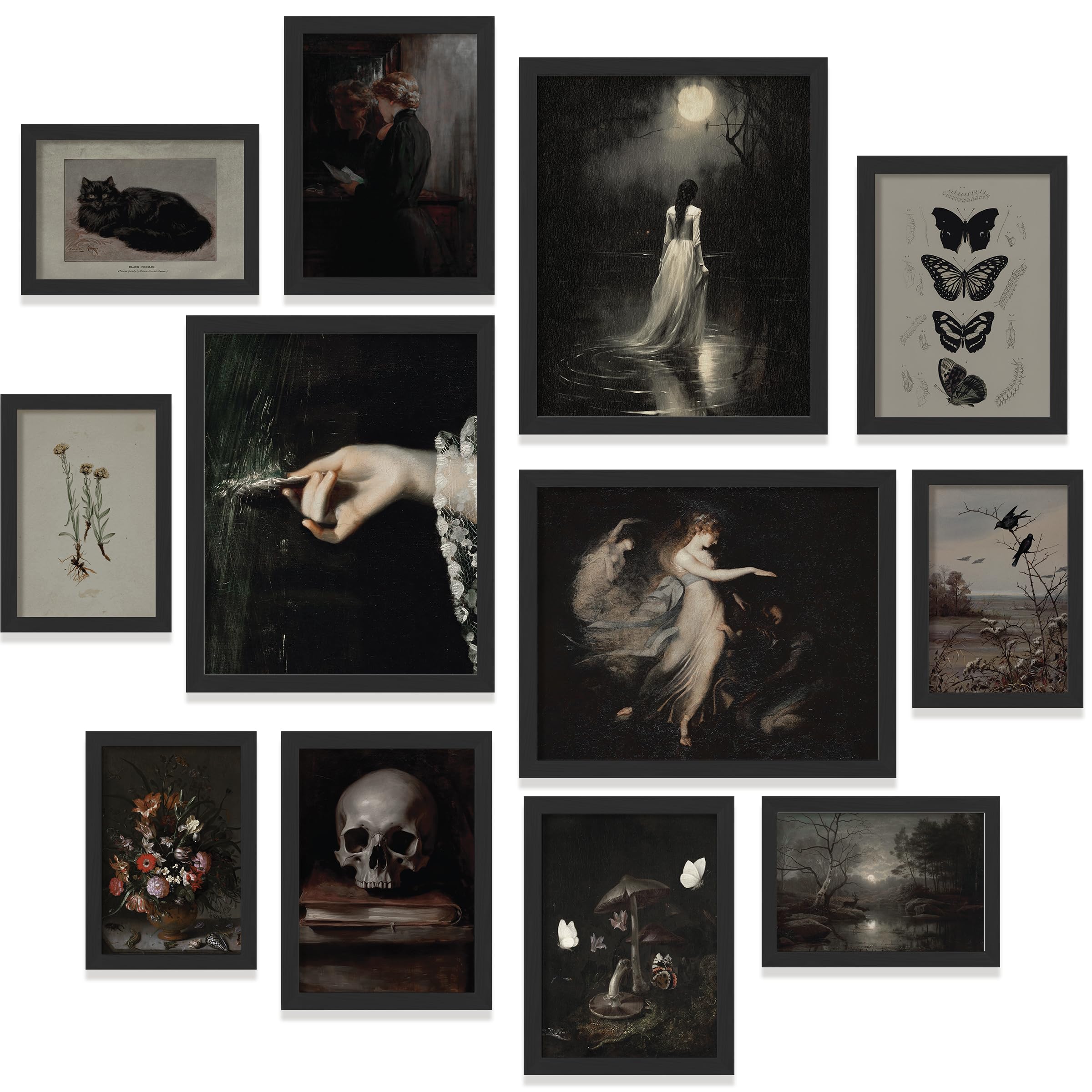 97 Decor Dark Academia 02 Gx8X10 Framed (Black Frame) (Sp874)