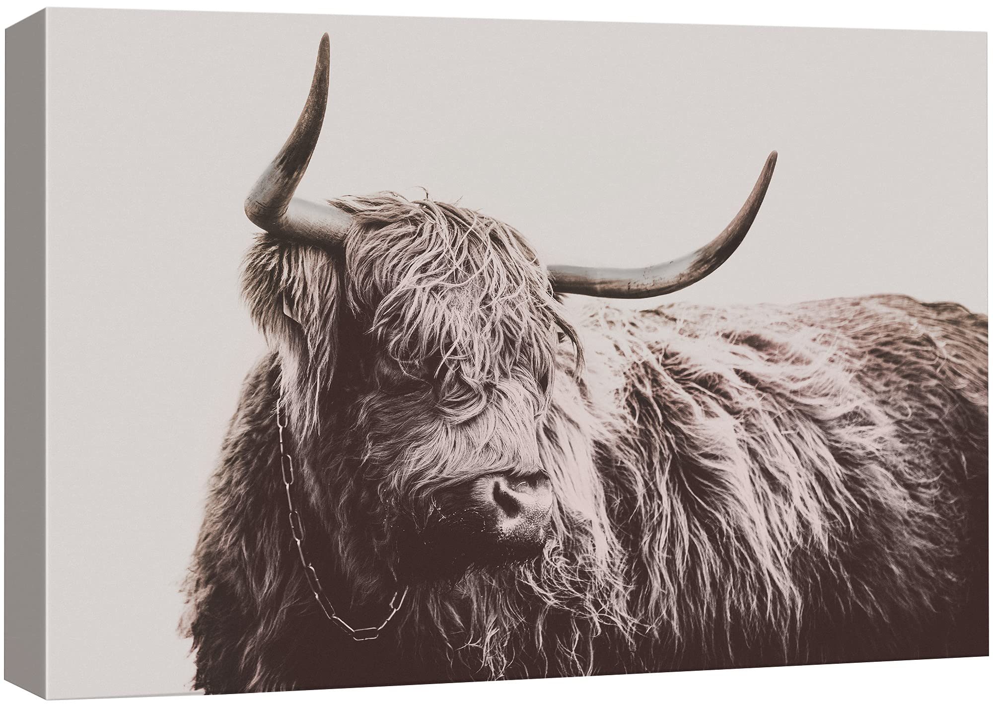 Wall26 Canvas Print Wall Art Monochrome Brown Ox Portrait Animals Wilderness Photography Realism Rustic Scenic Relax/Calm Multic