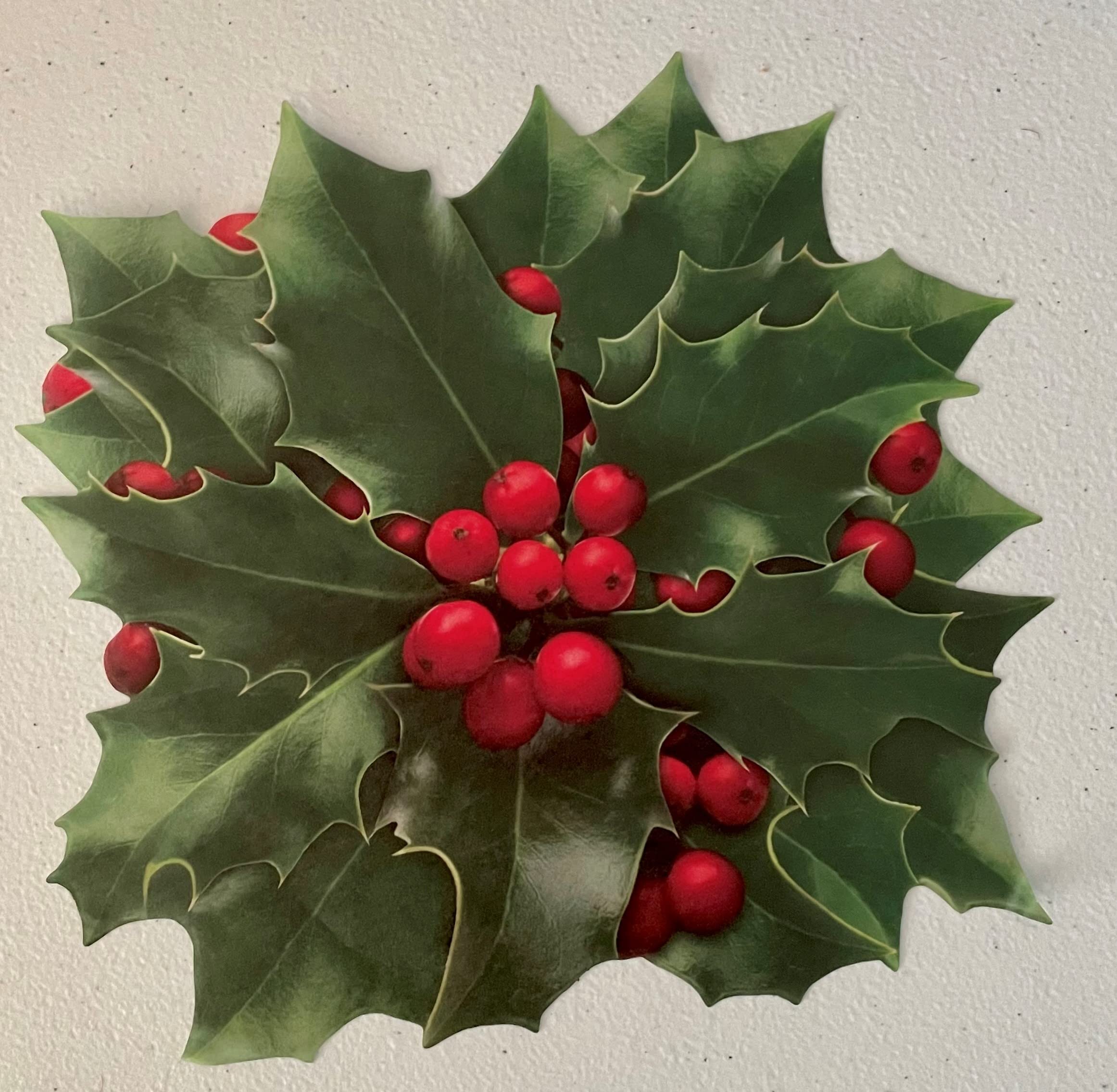 Parchment Paper Leaves For Cheese & Charcuterie Boards - Sisson Distribution Leaves (Pack Of 20) (Holly)