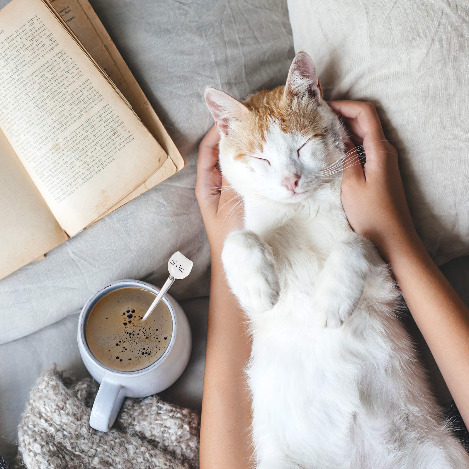 6 Pieces Cat Coffee Spoon Cute Stainless Steel Cat Head Spoon, Lovely Spoon, Ice Cream Dessert Spoon For Stirring Tea Coffee Sug