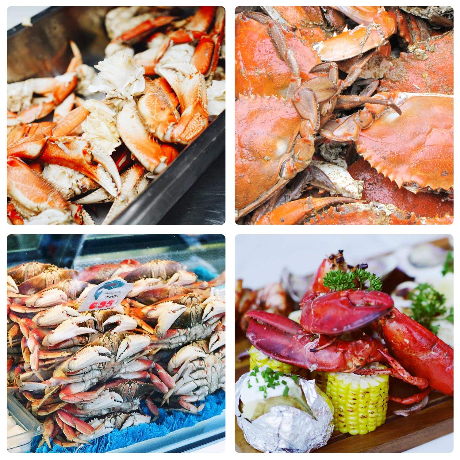 10 Pcs Seafood Tools Set - Crab Lobster Crackers Stainless Steel Forks Opener Shellfish Lobster Crab Leg Sheller Seafood Scissor