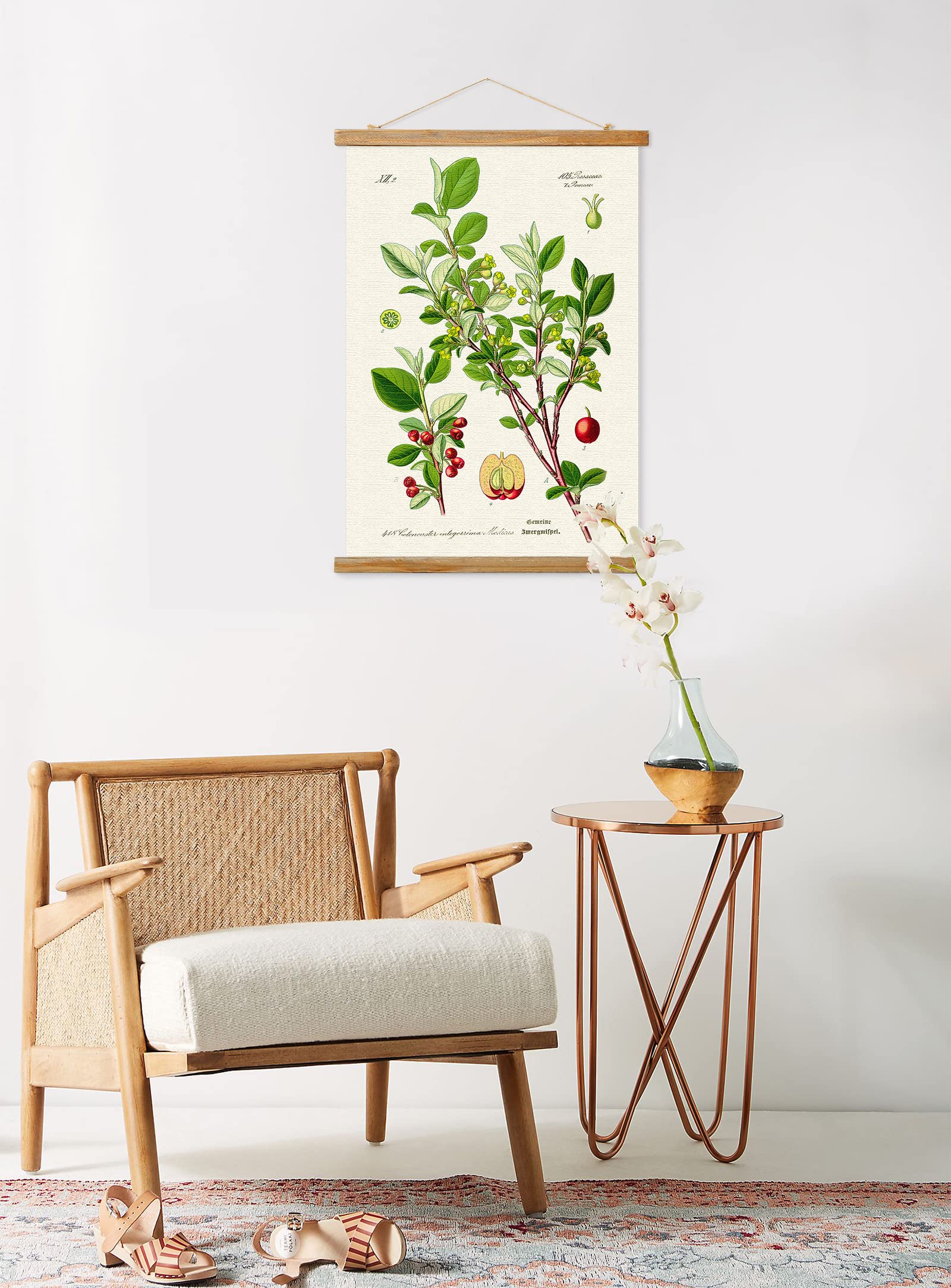 Vintage Illustrative Reference Plant Poster Hanger Frame, Retro Style Wall Art Prints, Printed On Linen With Natural Wooden Fram