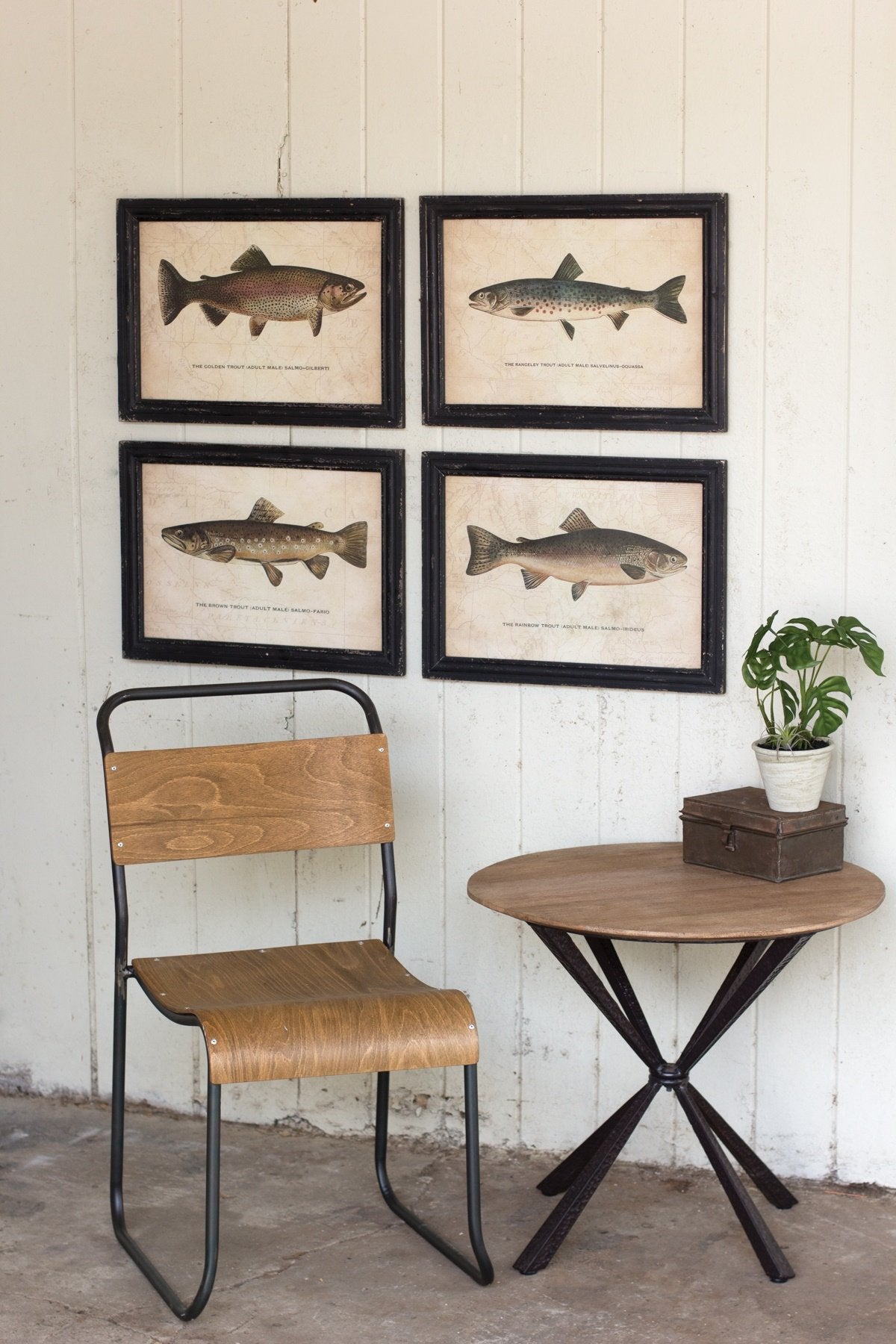 SET OF FOUR TROUT PRINTS UNDER GLASS