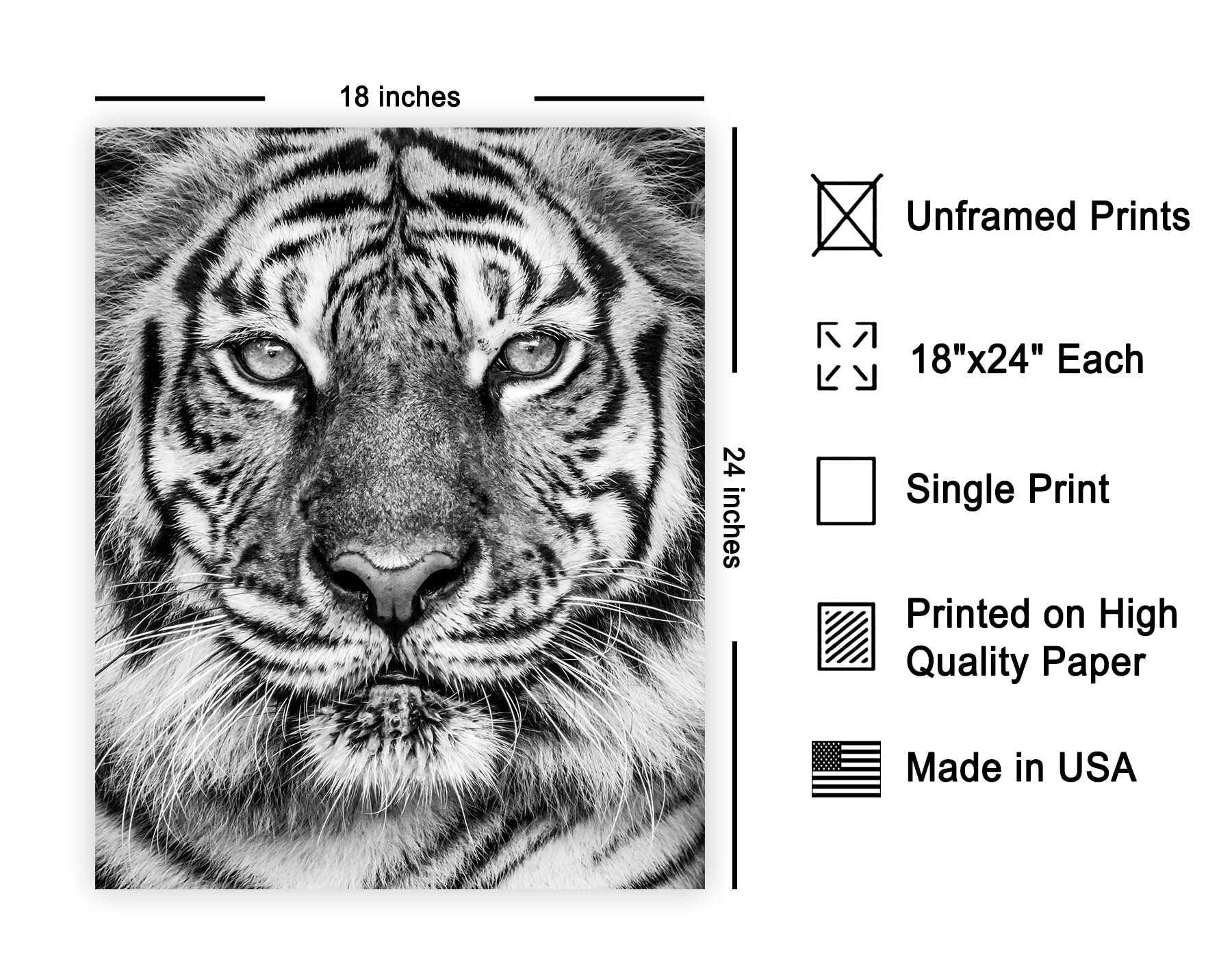 Poster Master Vintage Tiger Poster - Retro Tiger Face Print - Tiger Portrait Art - Gift for Men, Women, Animal Lover - Great Wal