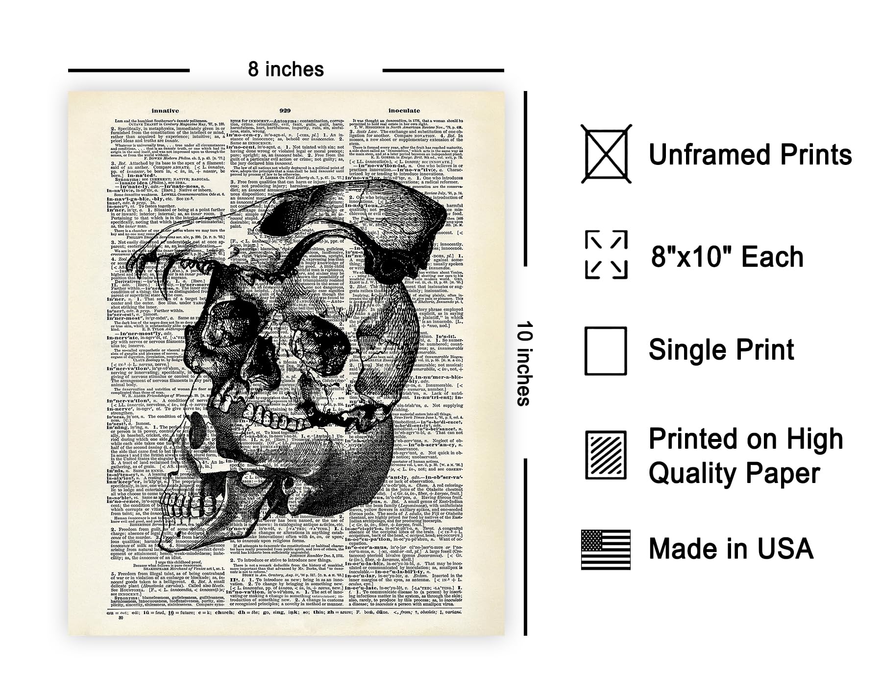 Poster Master Dictionary Art Poster - Layered Skull Print - Skeleton Art - Animal Skull Art - Gift For Him, Her - Gothic Wall De