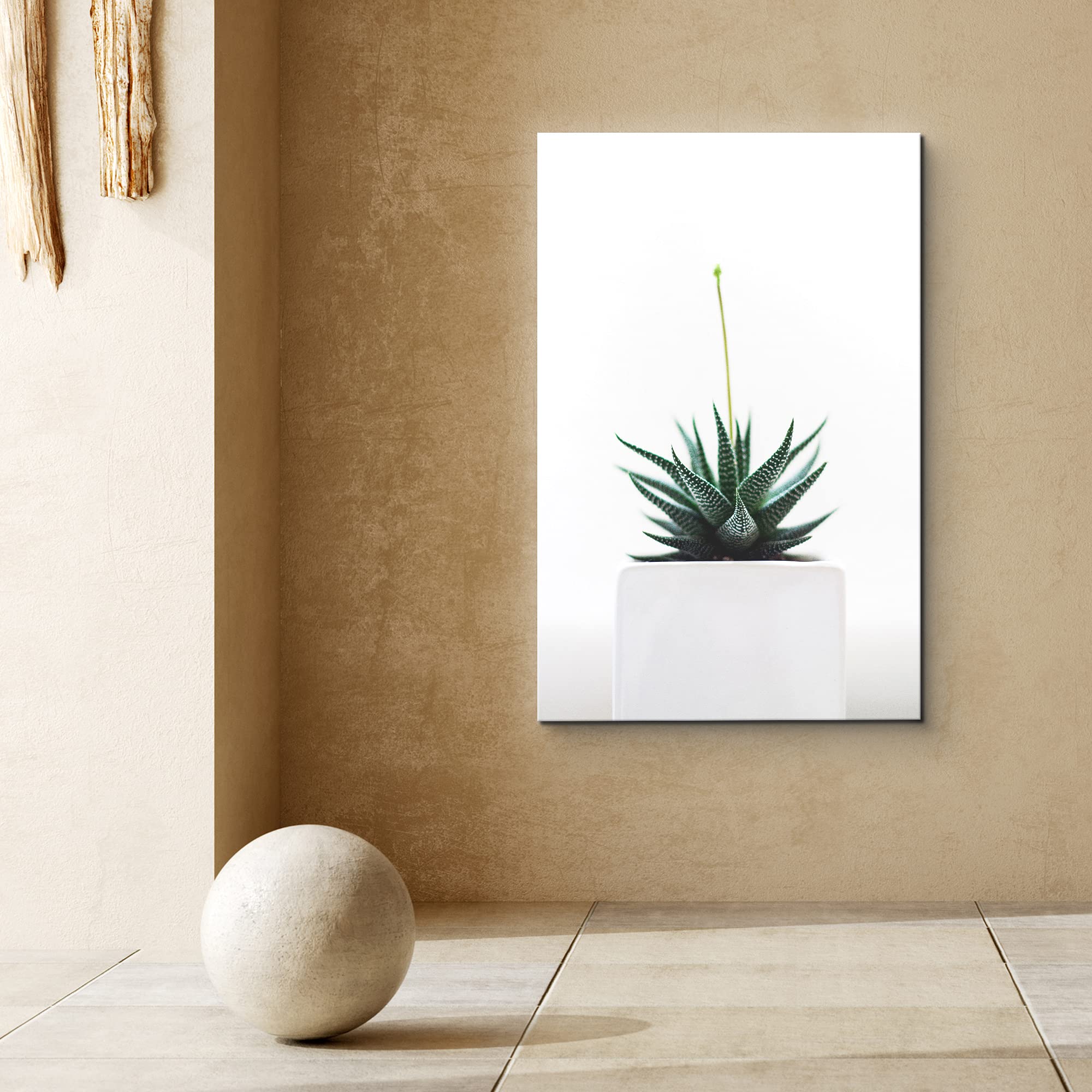 Signford Canvas Print Wall Art Green Zebra Succulent In White Vase Floral Plants Photography Realism Southwest Relax/Calm Multic