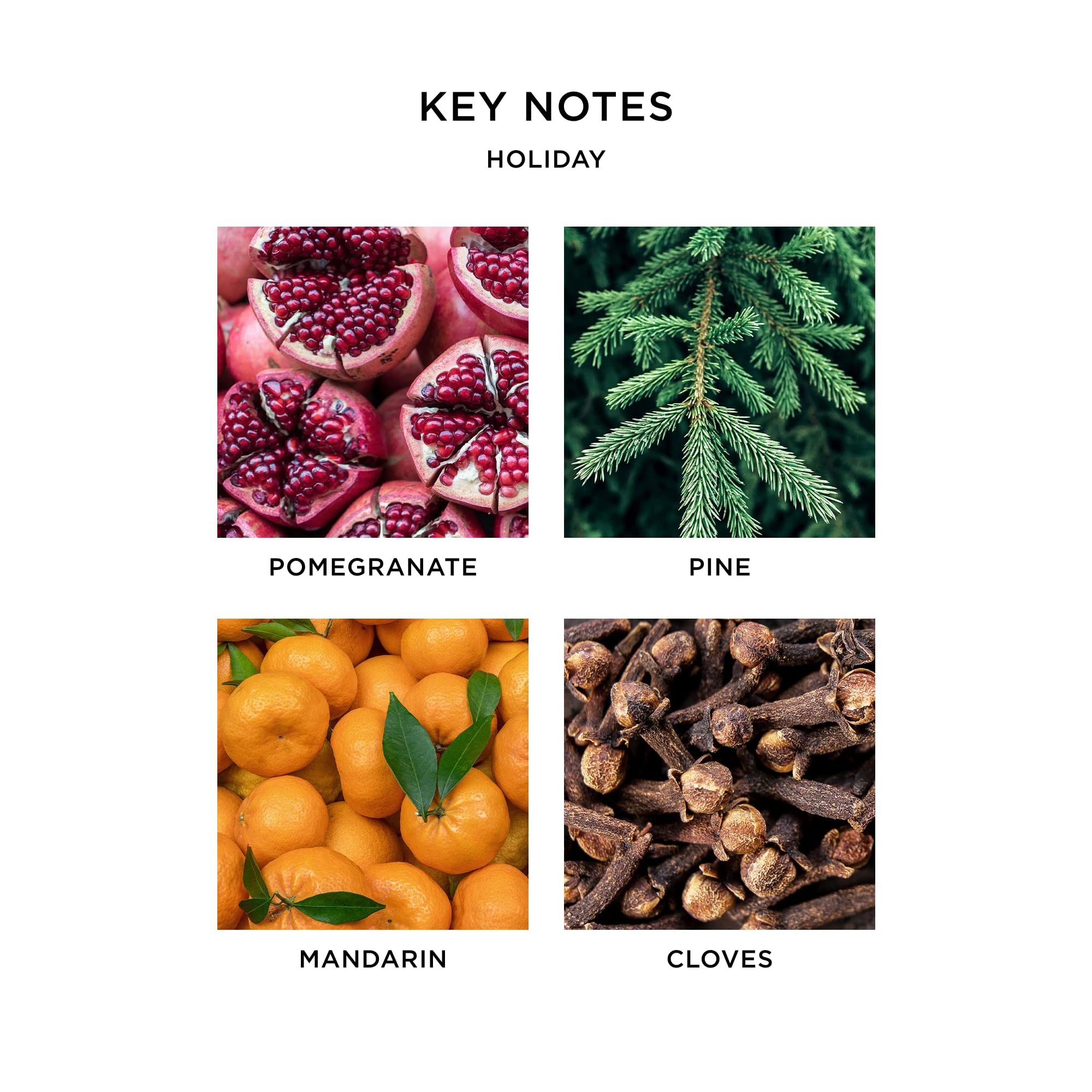 NEST Fragrances Votive Candle- Holiday , 2 oz