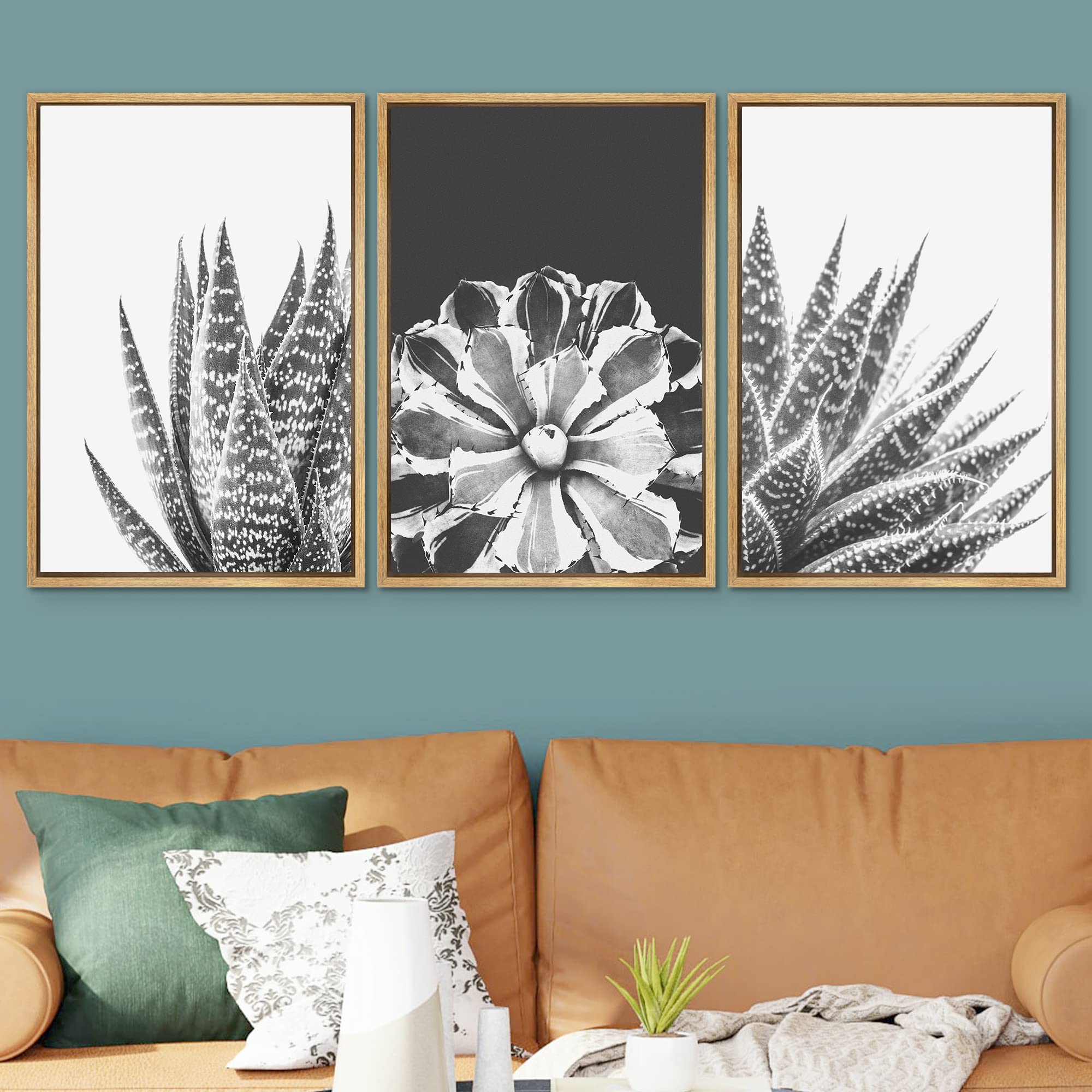 Signwin Framed Wall Art Print Set Sempervivum & Haworthia Succulent Set Nature Plants Photography Modern Art Closeup Relax/Calm