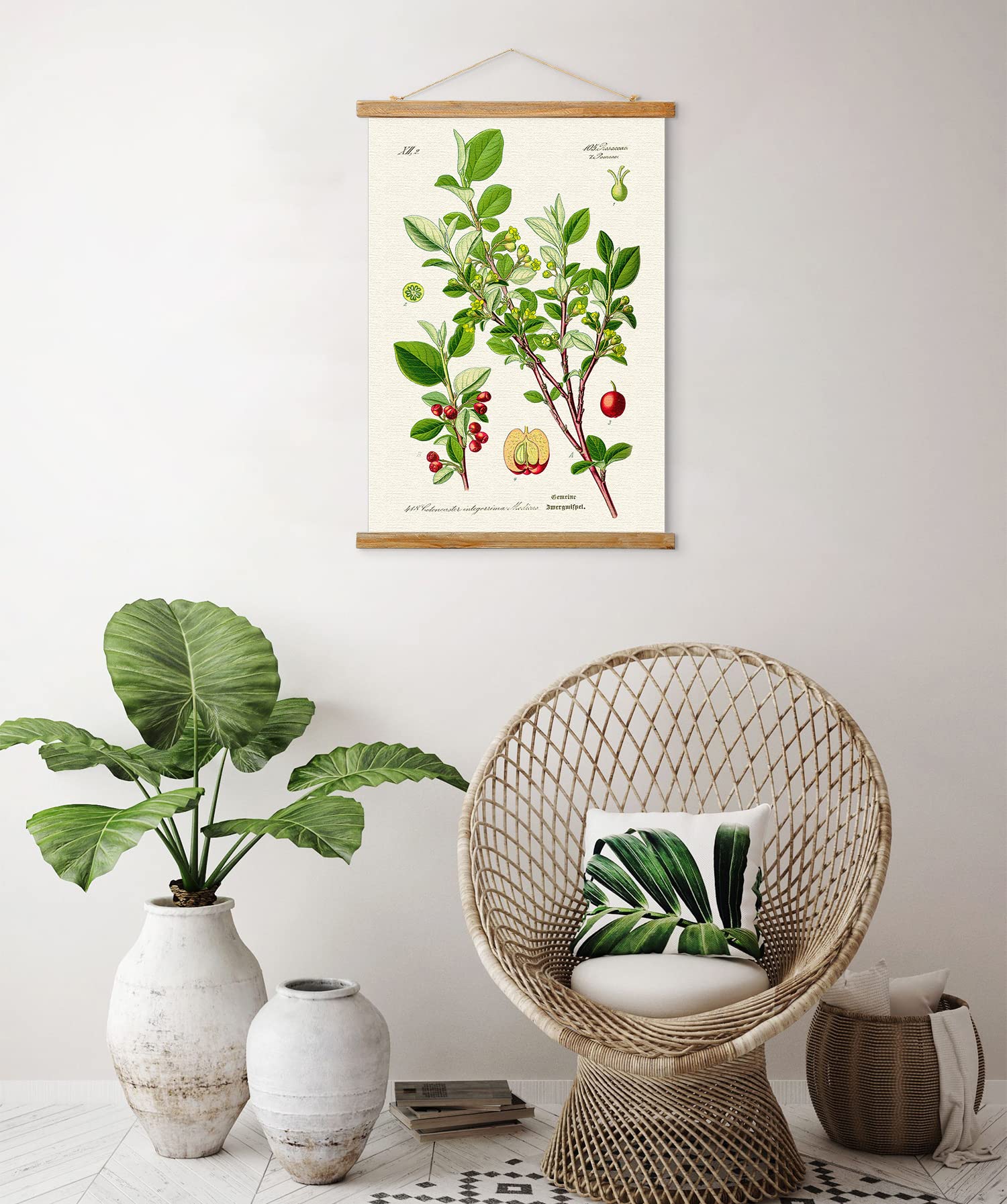 Vintage Illustrative Reference Plant Poster Hanger Frame, Retro Style Wall Art Prints, Printed On Linen With Natural Wooden Fram