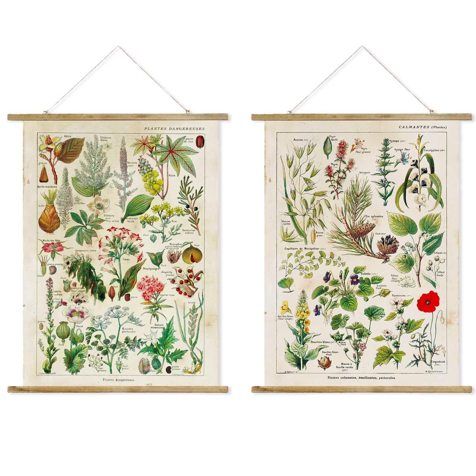 2 Pack Vintage Butterflies Poster Hanger Frame  Retro Style of Wall Art Prints  Printed on Linen with Wood Frames  Ready to Hang