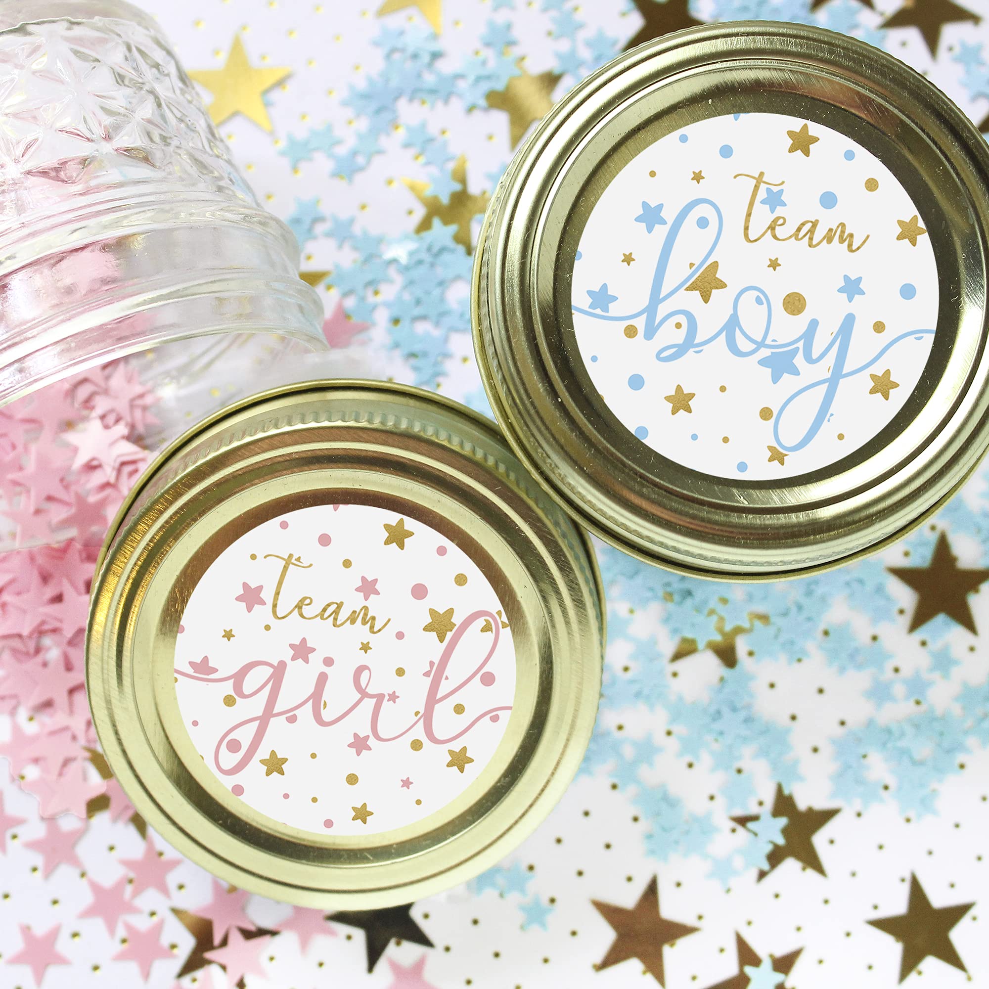 Twinkle Twinkle Little Star Gender Reveal Party - Team Boy Or Girl - 40 Stickers