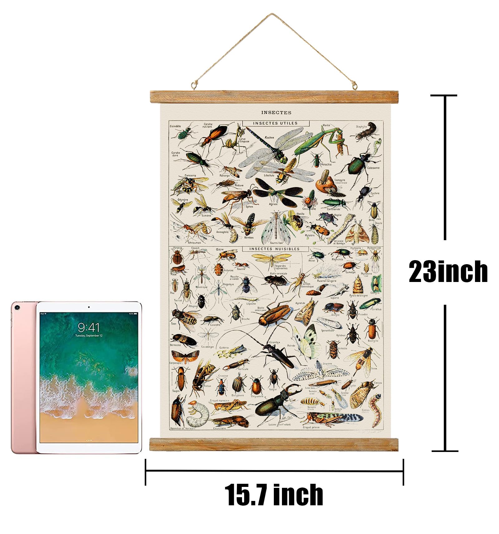 Ovfovy Vintage Insect Poster, Rustic Room Aesthetic, Retro Wall Art Prints Without Fading, Printed On Linen With Wood Frames, Re