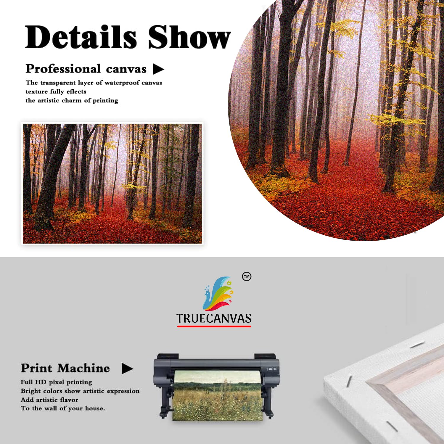 TRUECANVAS Mediterranean Beach, Wooden Framed Canvas Paintings for Home Decor | Bedroom, Living Room,Wall Decoration | Wall Art