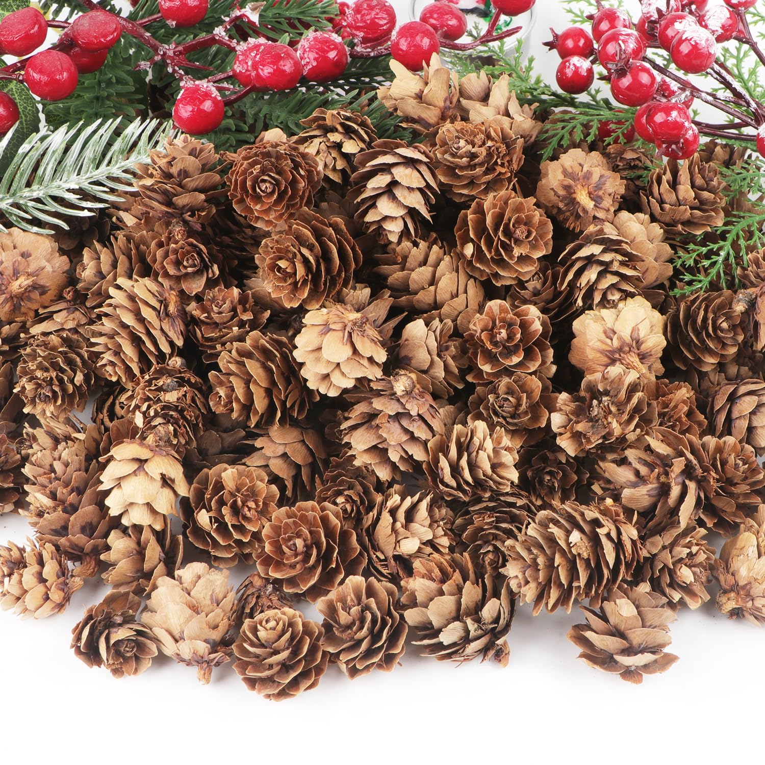 Jangostor 120 PCS Pine Cones Decorations, Natural Pine Cones Bulk - Mini Pine Cones Christmas Pine Cones for Table Christmas Tre