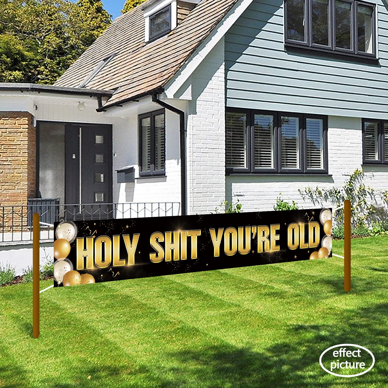 Ushinemi Holy Shit Youre Old Banner, Large Hilarious Birthday Decorations For Men Women, 30Th 40Th 50H 60Th 70Th 80Th 90Th Birth