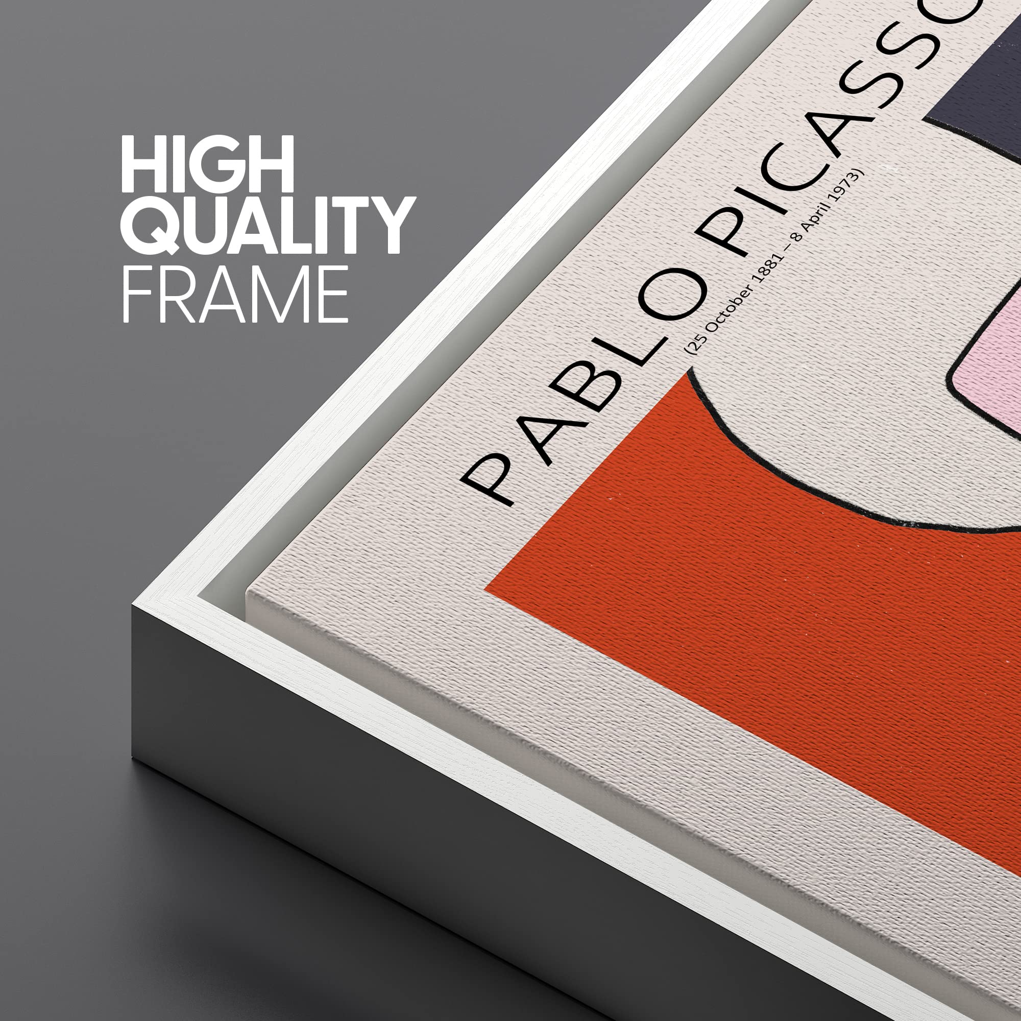 Signleader Framed Canvas Print Wall Art Pablo Picasso Mid-Century Line Art Abstract Shapes Illustrations Modern Art Decorative M