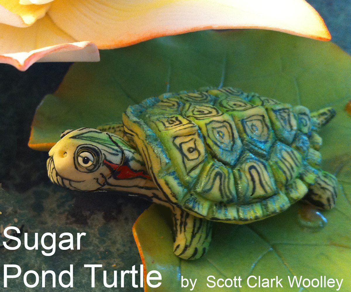 Scott Clark Woolley Pond Turtle Silicone Mold