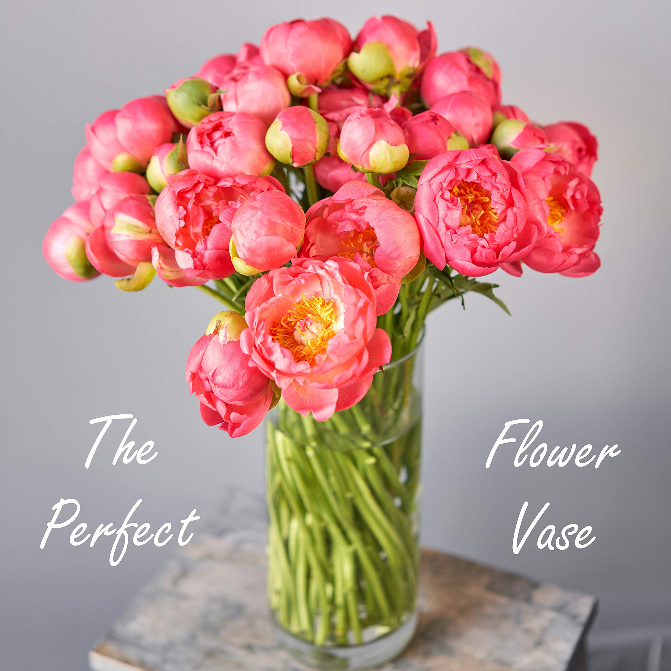cYS Excel clear glass cylinder Vase (H:12 D:4)  Multiple Size choices glass Flower Vase centerpieces  Hurricane Floating candle