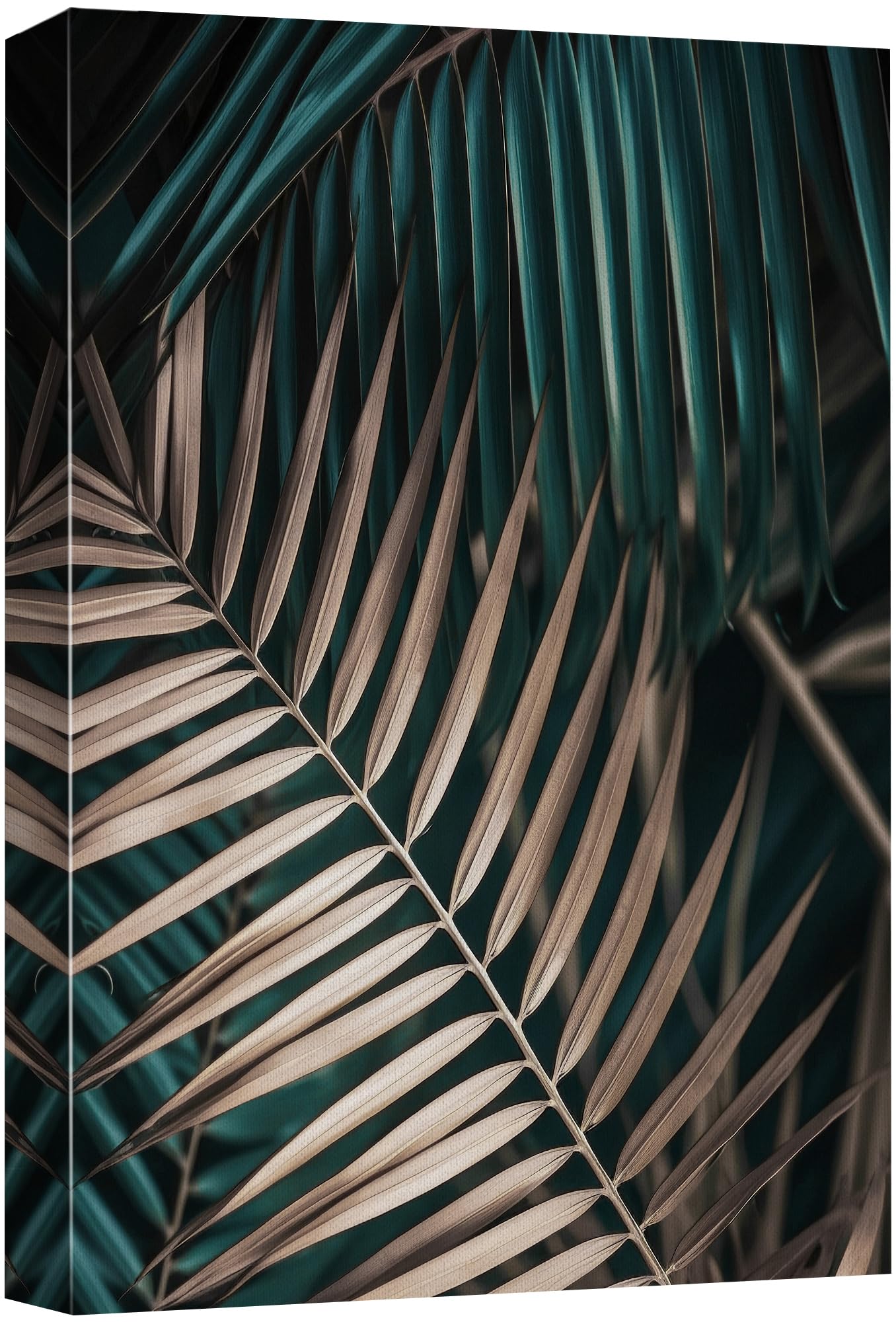 Wall26 Canvas Print Wall Art Tropical Palm Frond Exotic Botanical Nature Wilderness Photography Modern Art Decorative Country Mu