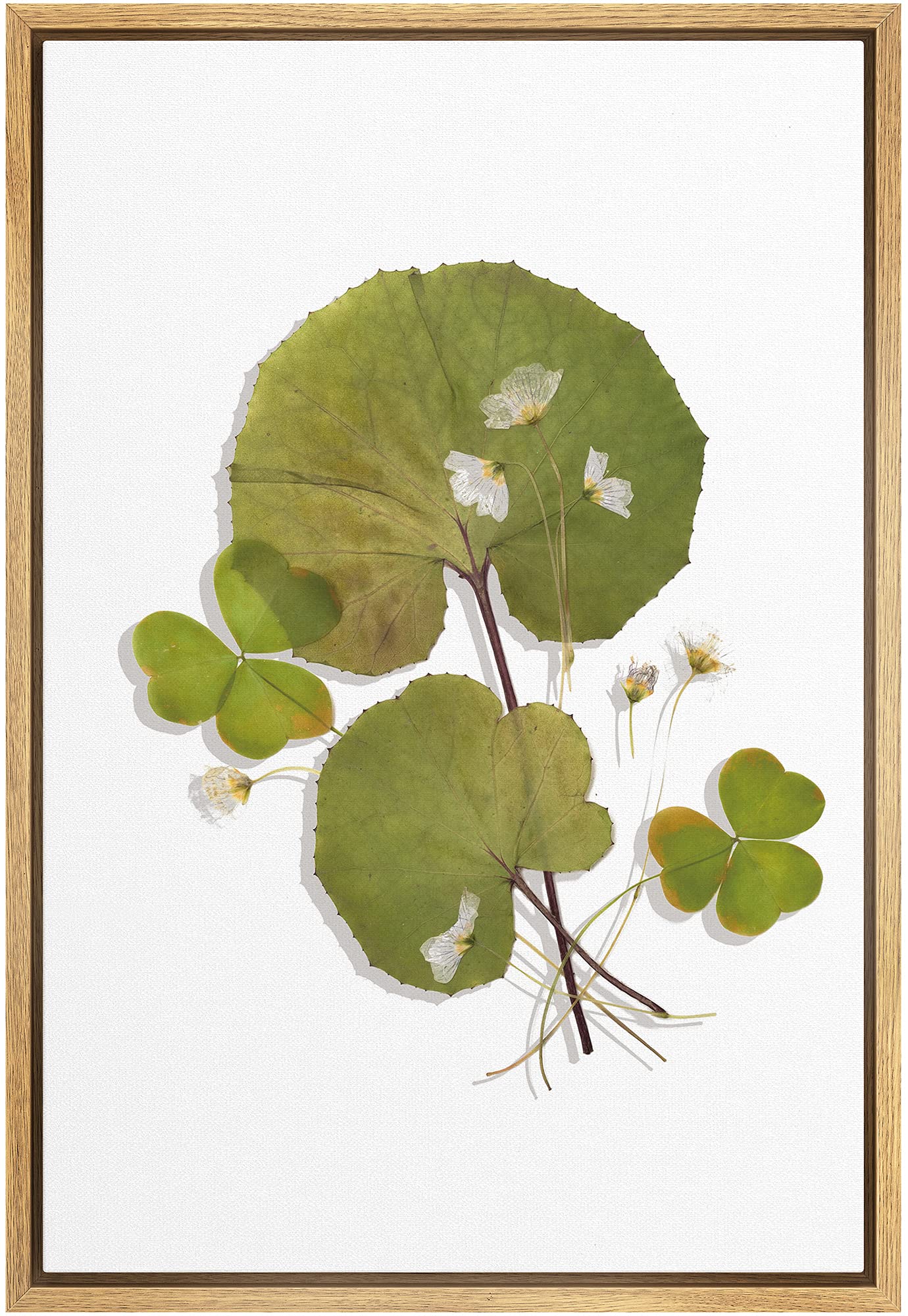 Signford Canvas Print Wall Art Green Forest Leaves With Clovers Floral Plants Illustrations Modern Art Rustic Group Colorful Coo