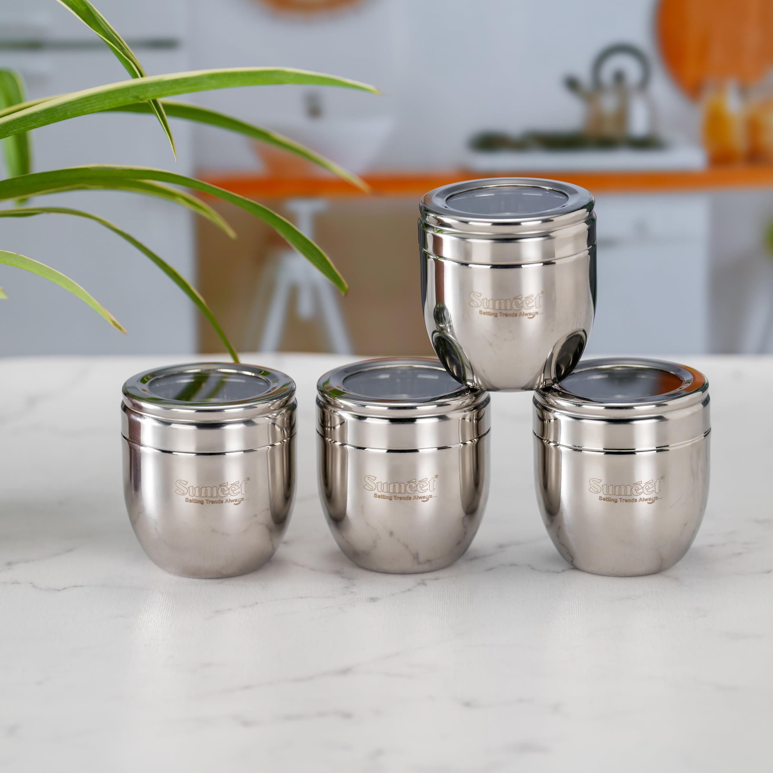 Sumeet Stainless Steel Conical Shape Canisters/Dabba/Storage Containers for Kitchen with See Through Lid, Set of 4 Pcs, 250ml Ea