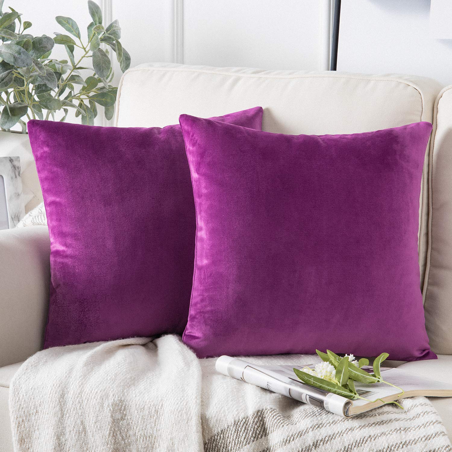 Phantoscope Pack Of 2 Velvet Decorative Throw Pillow Covers Soft Solid Square Cushion Case For Couch Purple 24 X 24 Inches 60 X 