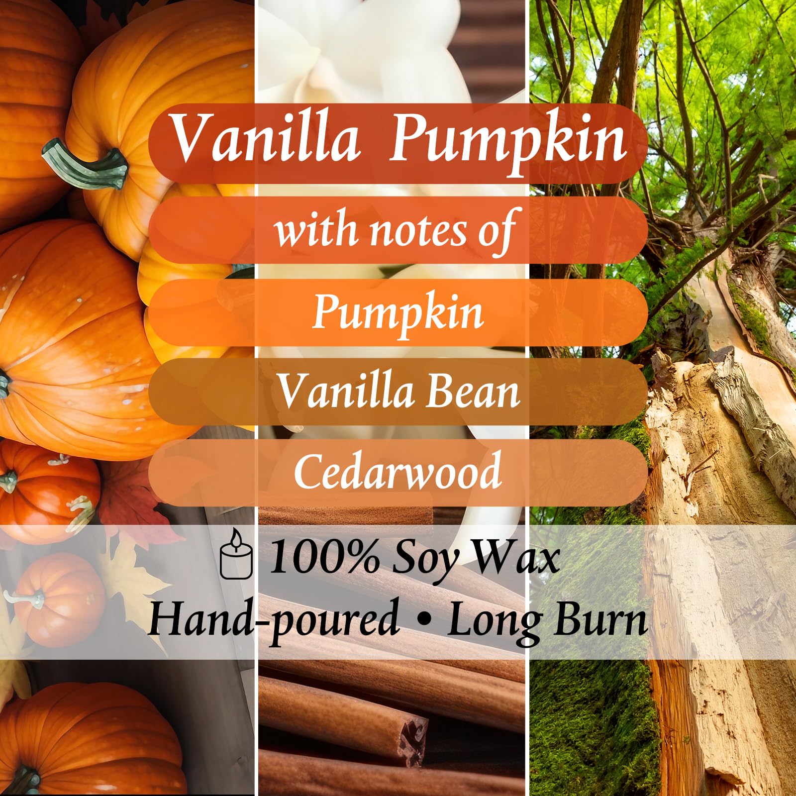 Mimorou Large Pumpkin Candle 3D Thanksgiving Pumpkin Shaped 22oz Decorative Fall Glass Jar Soy Wax Orange Candle up to 60-hour B