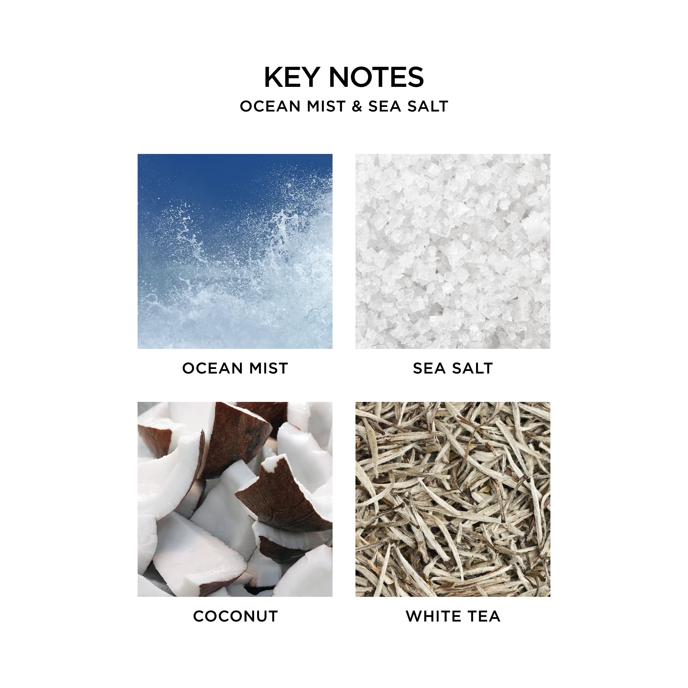 NEST New York Ocean Mist & Sea Salt Scented Luxury Candle