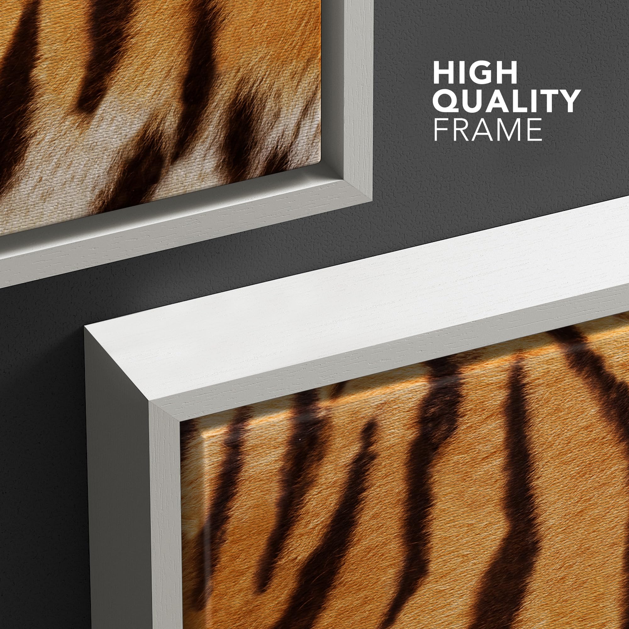 Wall26 Framed Framed Canvas Prints Wall Art Framed Framed Canvas Prints Wall Art - Tiger Fur/Skin Texture - 16''X16'' White