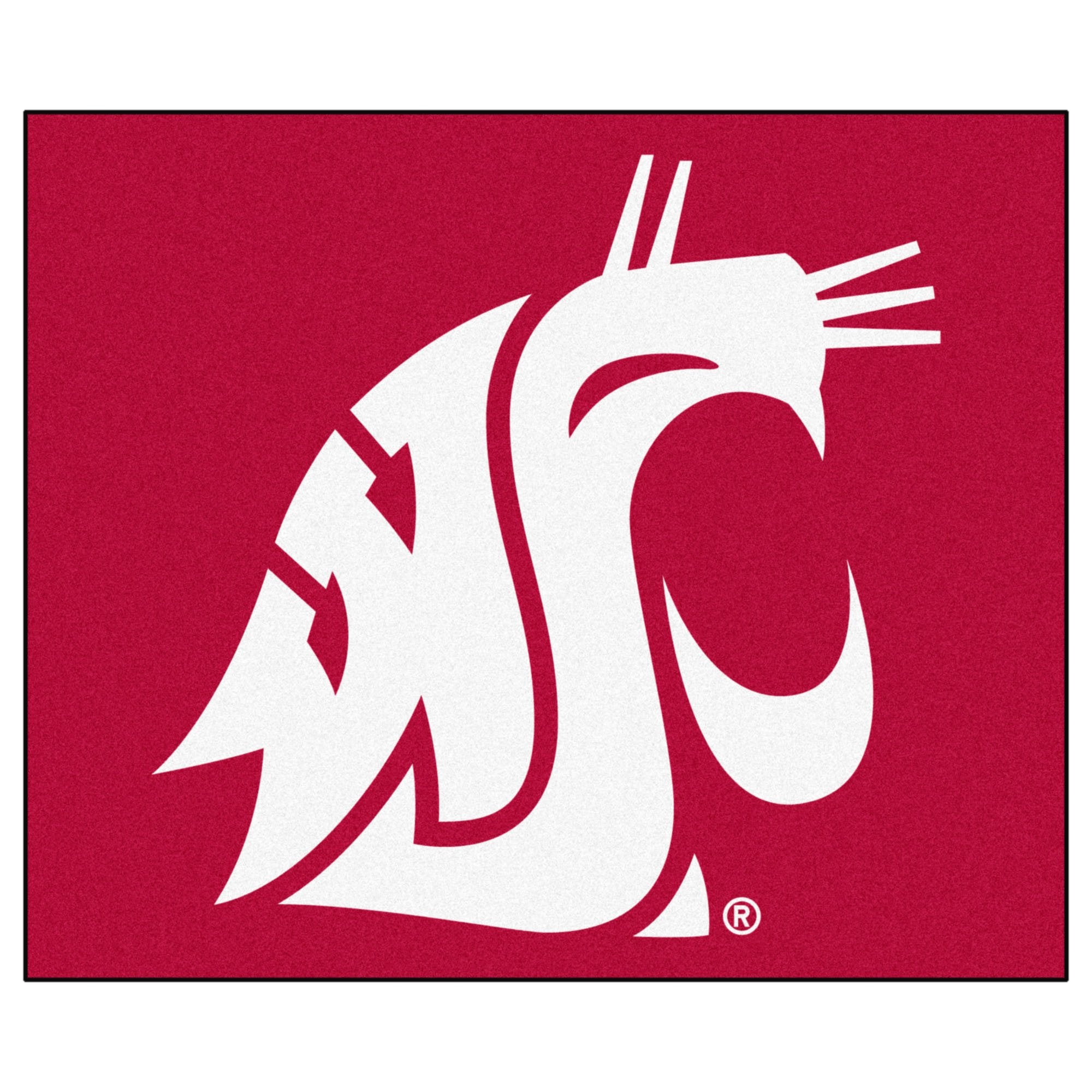 Fan Mats Washington State Tailgater Rug, 60 x 72